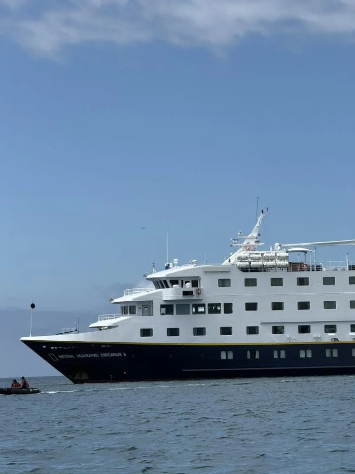 612106066_10236603268596390_457376217856069355_n (1).jpg