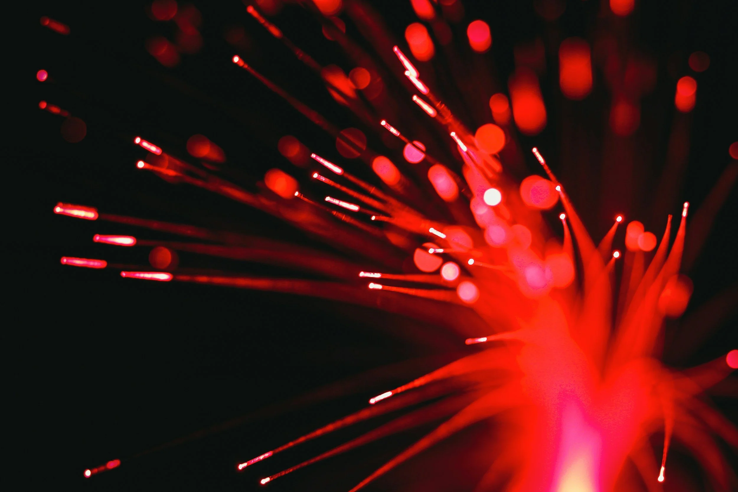 Photodynamic Inactivation: How Singlet Oxgen Dismantles a Virus