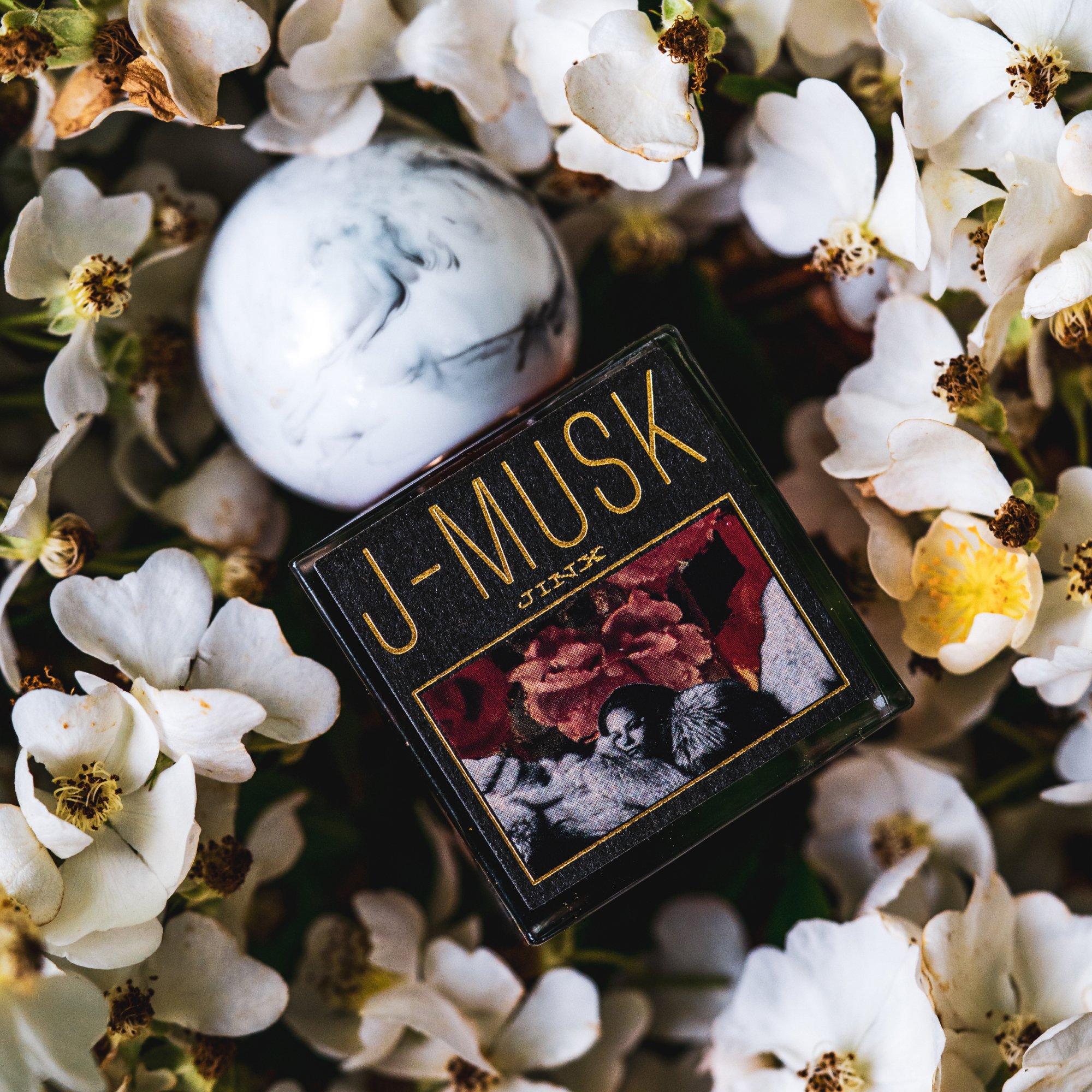 JMUSK-WEBSITE-2.jpg