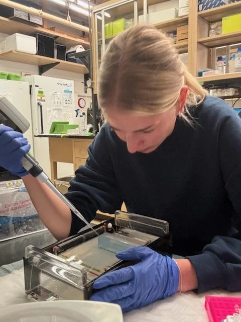 First time loading a gel.jpg