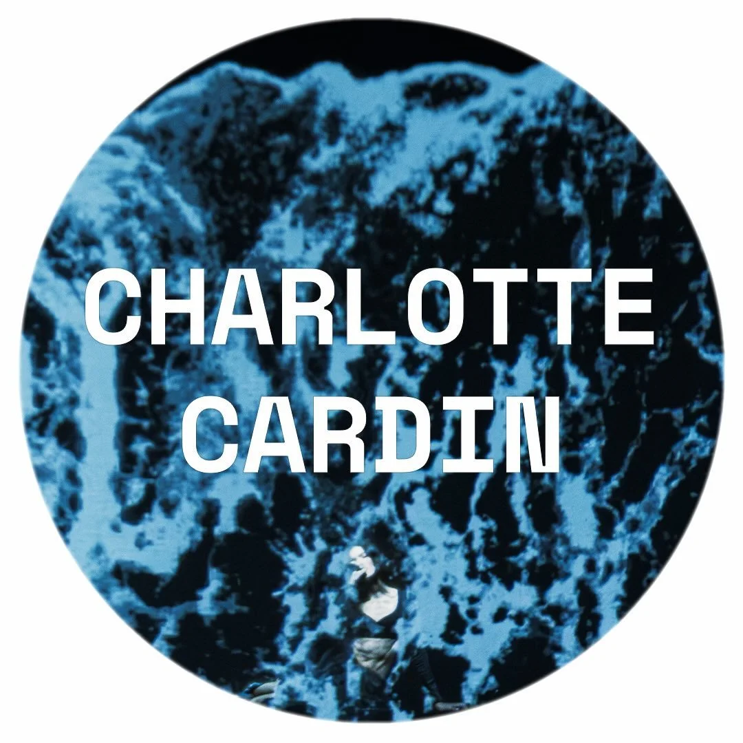 ⚡️ LIVE VISUALS &rarr; Charlotte Cardin: The Way We Touch Tour
&mdash;
Creative Direction @_davidblack
Wardrobe @anthonyvaccarello @ysl
Scenic and stage design @acebowerman @wfblive
Screens @aaroncalebeisenberg @soundandvisionco 
Creative consultant 
