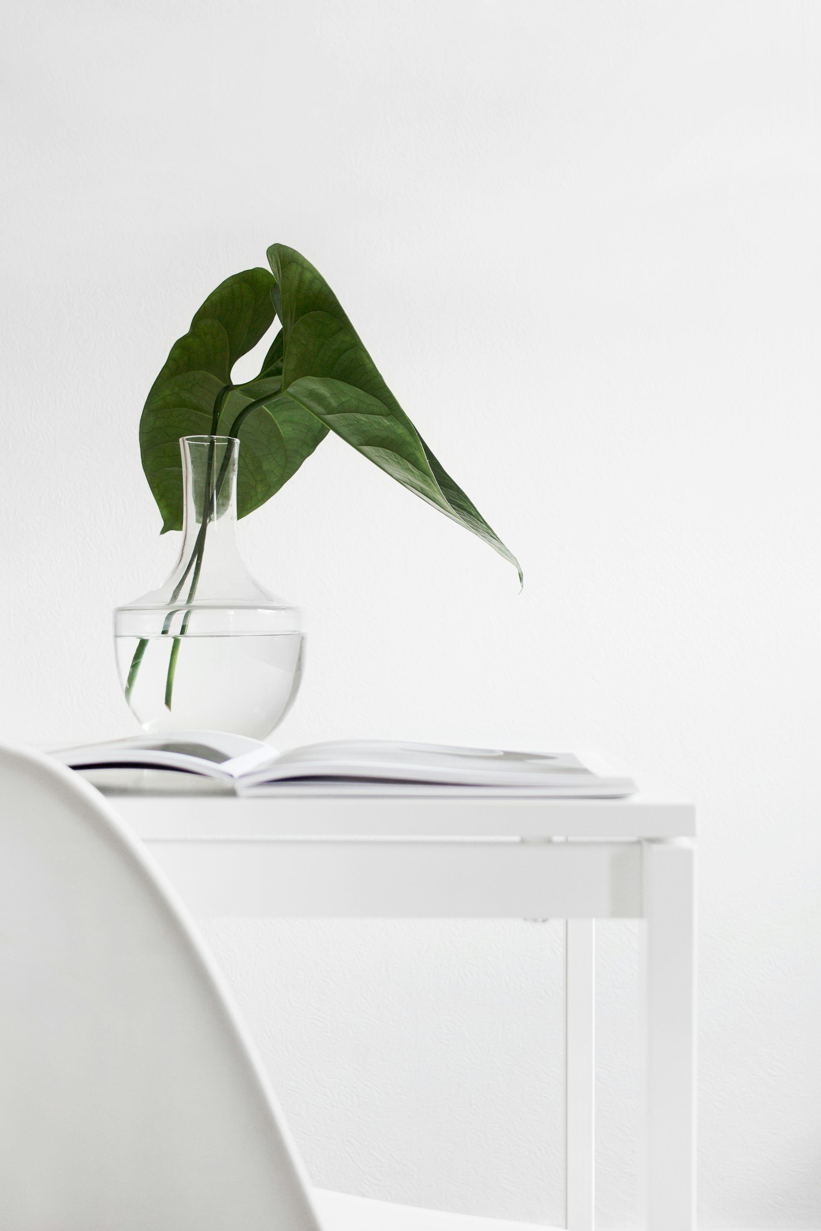 Lykke: Happiness Designed for Everyday Living in Alamar