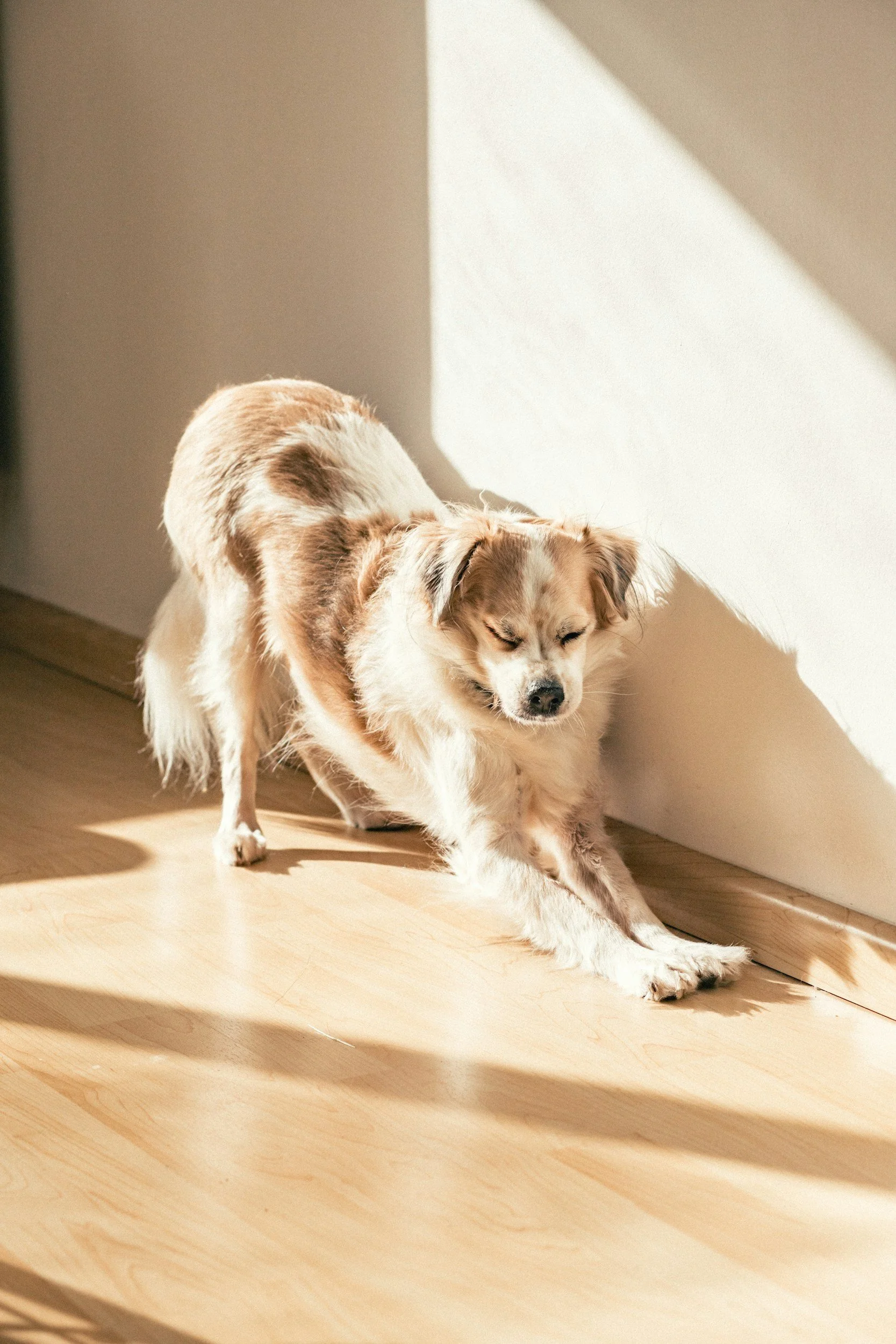 Sisu: Quiet Strength Built Into Every Home