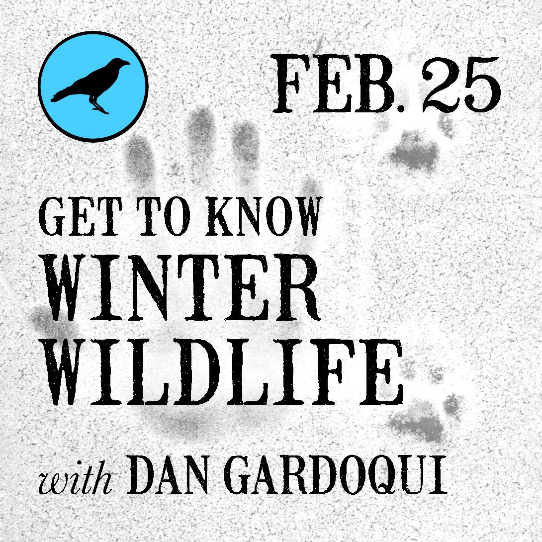 winter-wildlife-IG.jpg