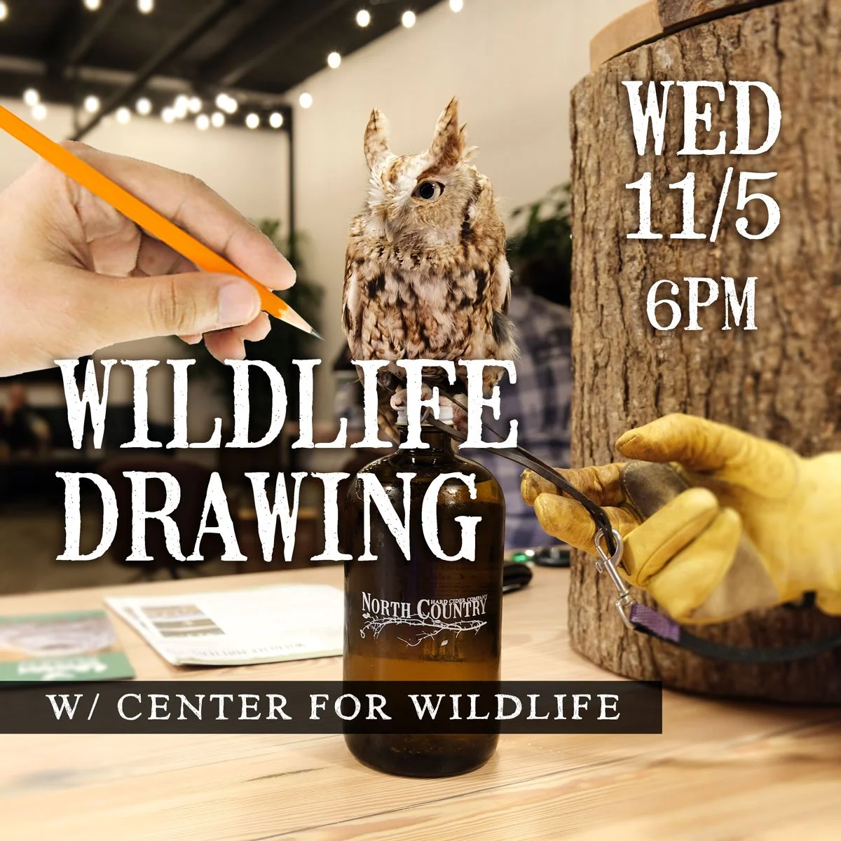 WILDLIFE DRAWING w/ CFW