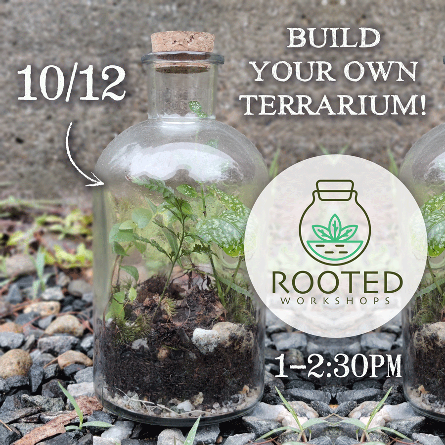 Terrarium Workshop w/ ROOTEd