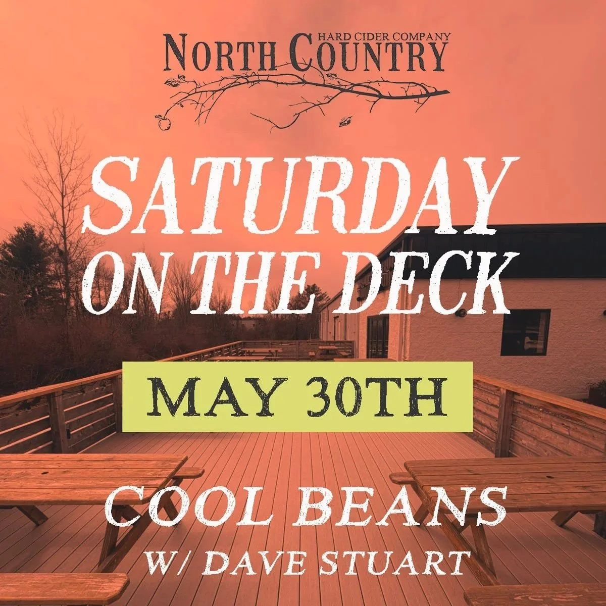 SATURDAY ON THE DECK: COOL BEANS w/ Dave Stuart