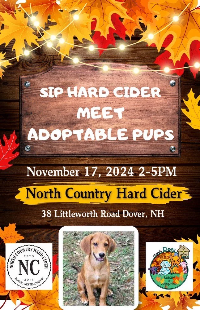 Meet + Greet with Mary's Dogs! North Country