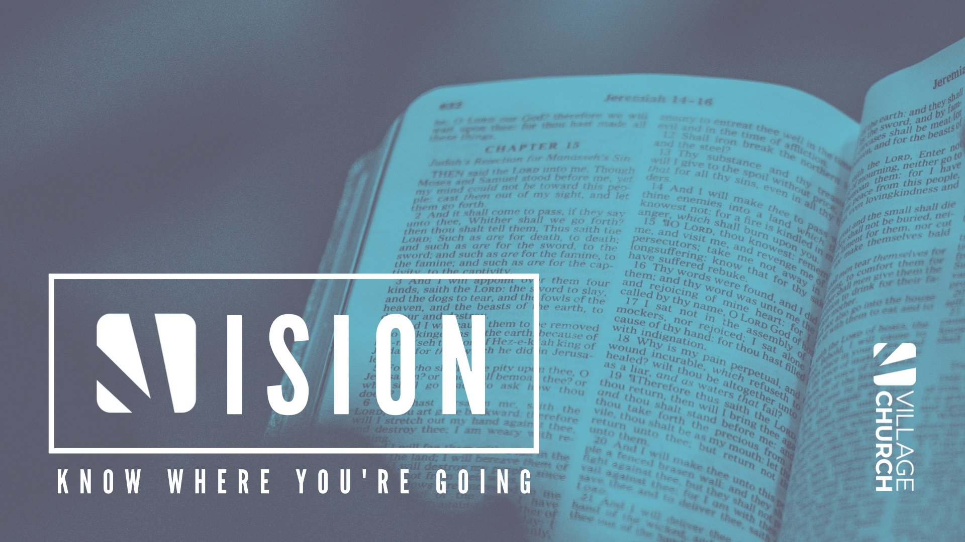 Vision Series