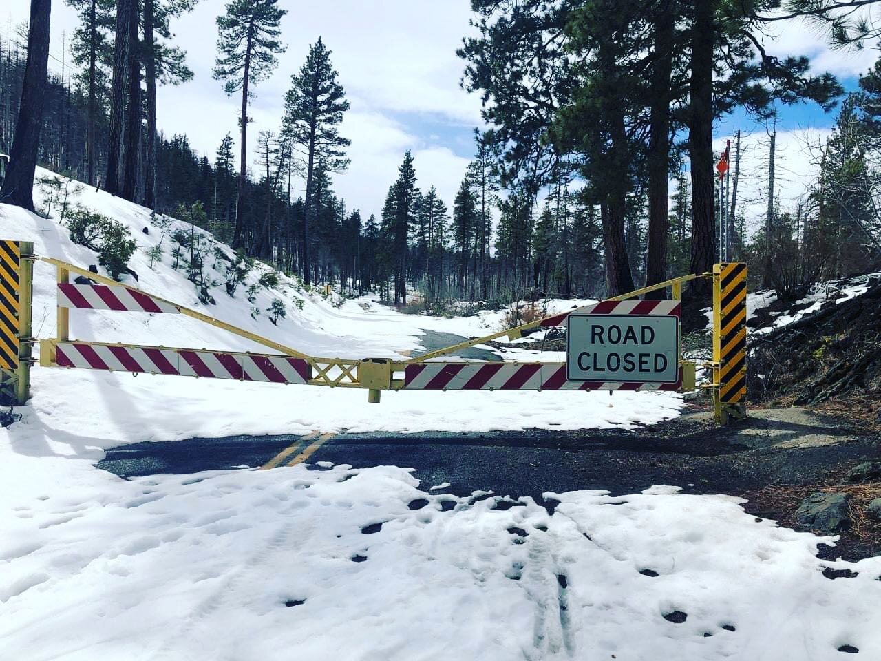 MCKENZIE PASS UPDATE

Want to know the status of the McKenzie Pass road to ride it before cars drive through? Check out EuroSports Website for updates: http://eurosports.us/mckenzie_pass_update#Next
As of 4/23 the snow accumulation had come back due 