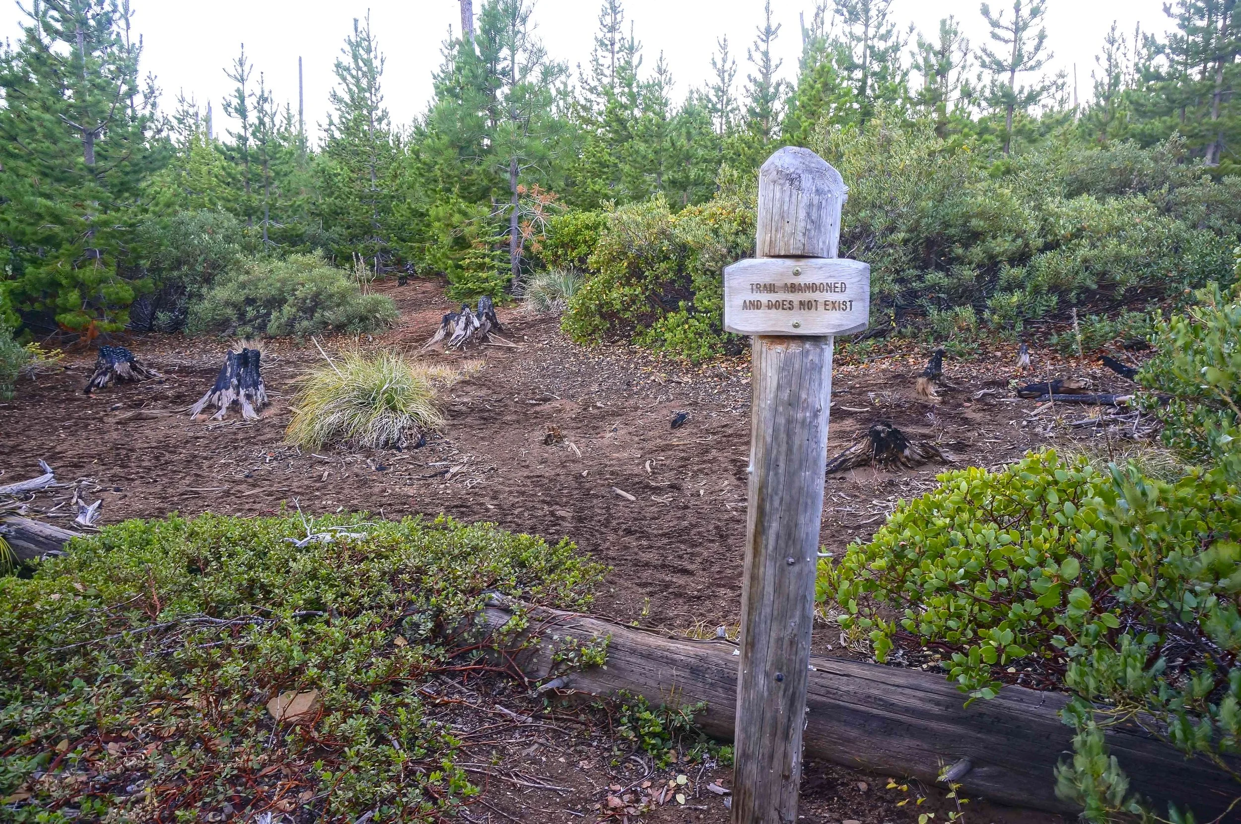 S.T.A.R. Project - Sisters Country's First New Trails in 15 Years are Getting Underway