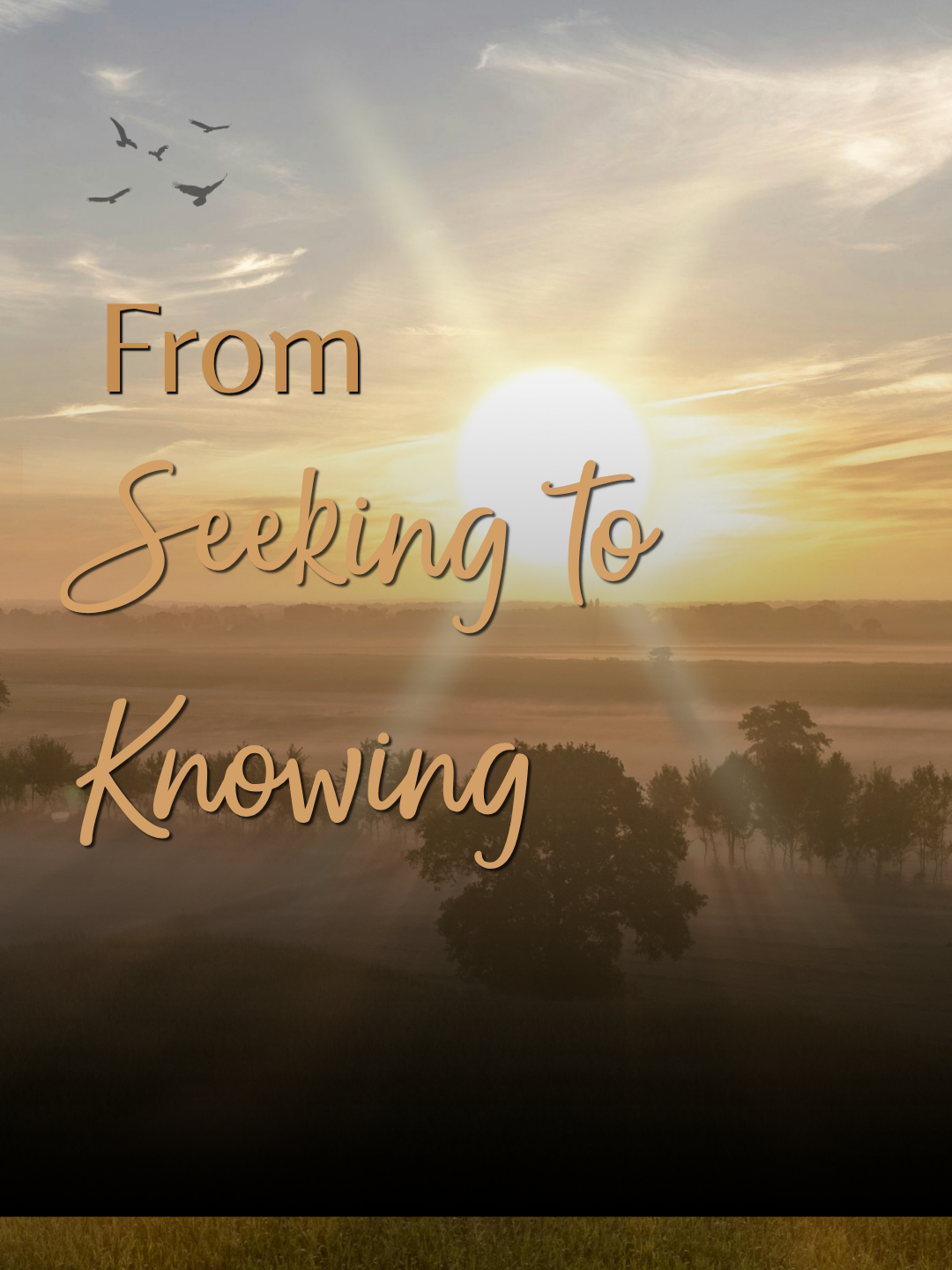 From Seeking to Knowing