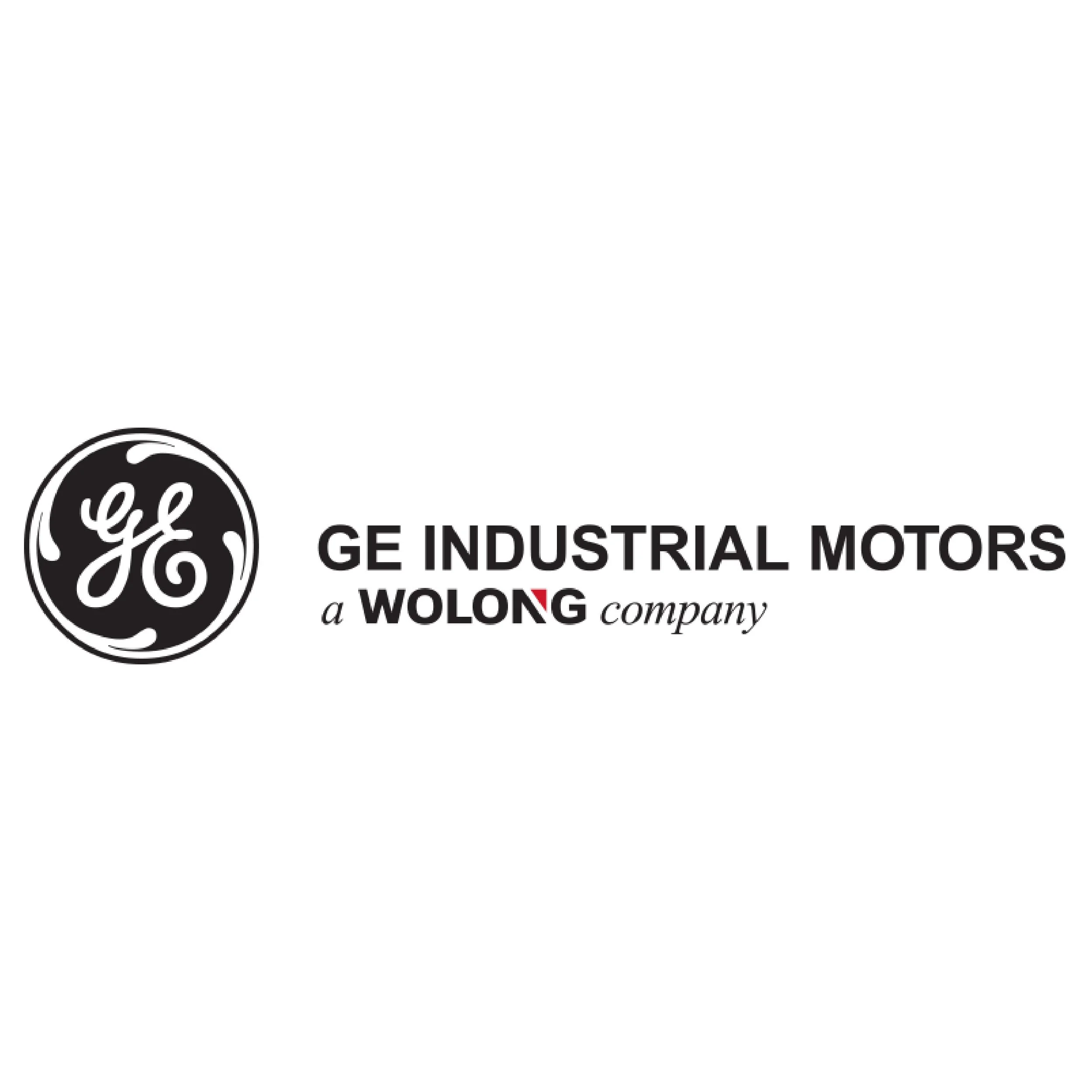 GE Industrial Motors Wolong logo.jpg
