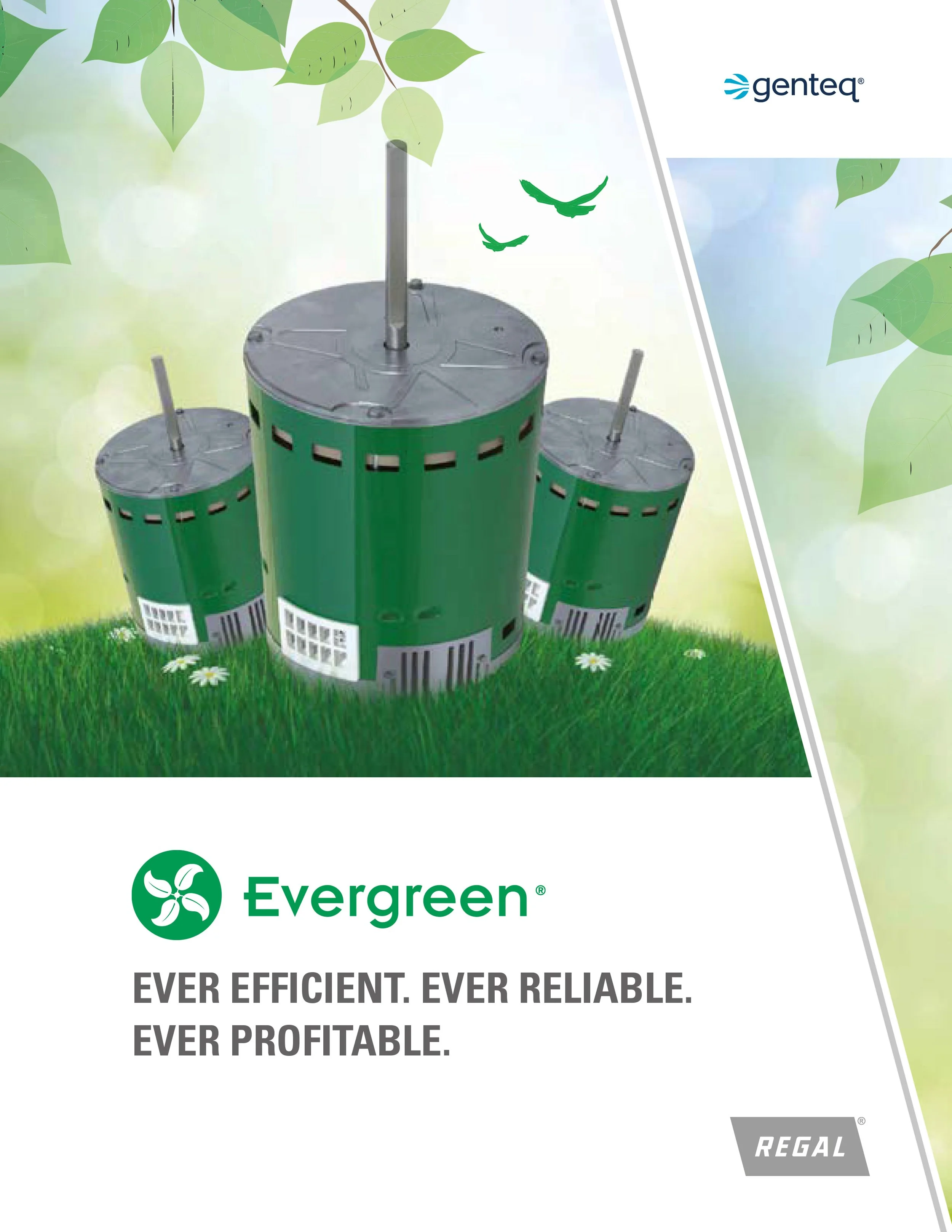 Evergreen — Precision Electric Motor Sales
