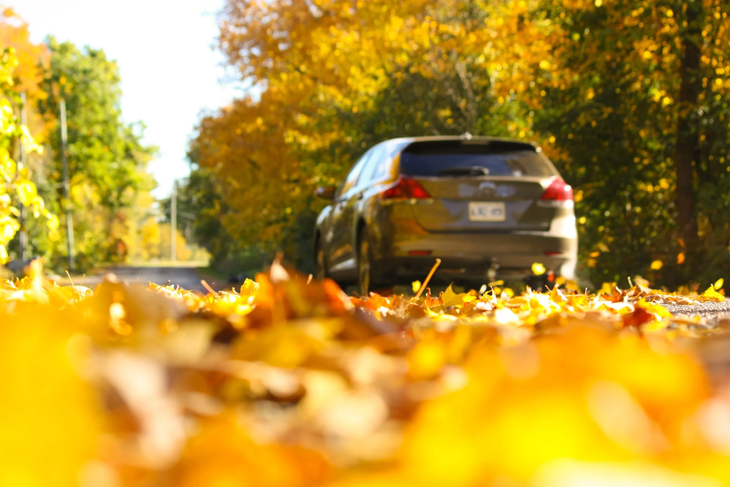 Vehicle Shopping Season: Why Fall is Perfect for Auto Loans