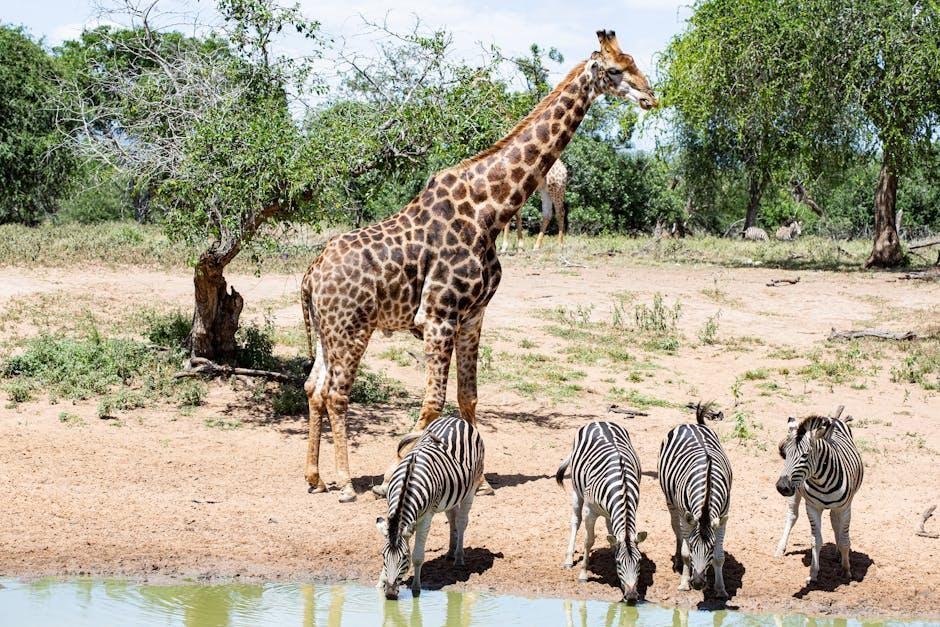 12-Nights:  The Grand Safari
15 Days door-to-door

The grand, glamourous, unabashedly luxurious safaris favoured by princes and princesses, potentates, plutocrats, and ex-presidents (Teddy Roosevelt&rsquo;s epic 1909 safari was one of the first of it