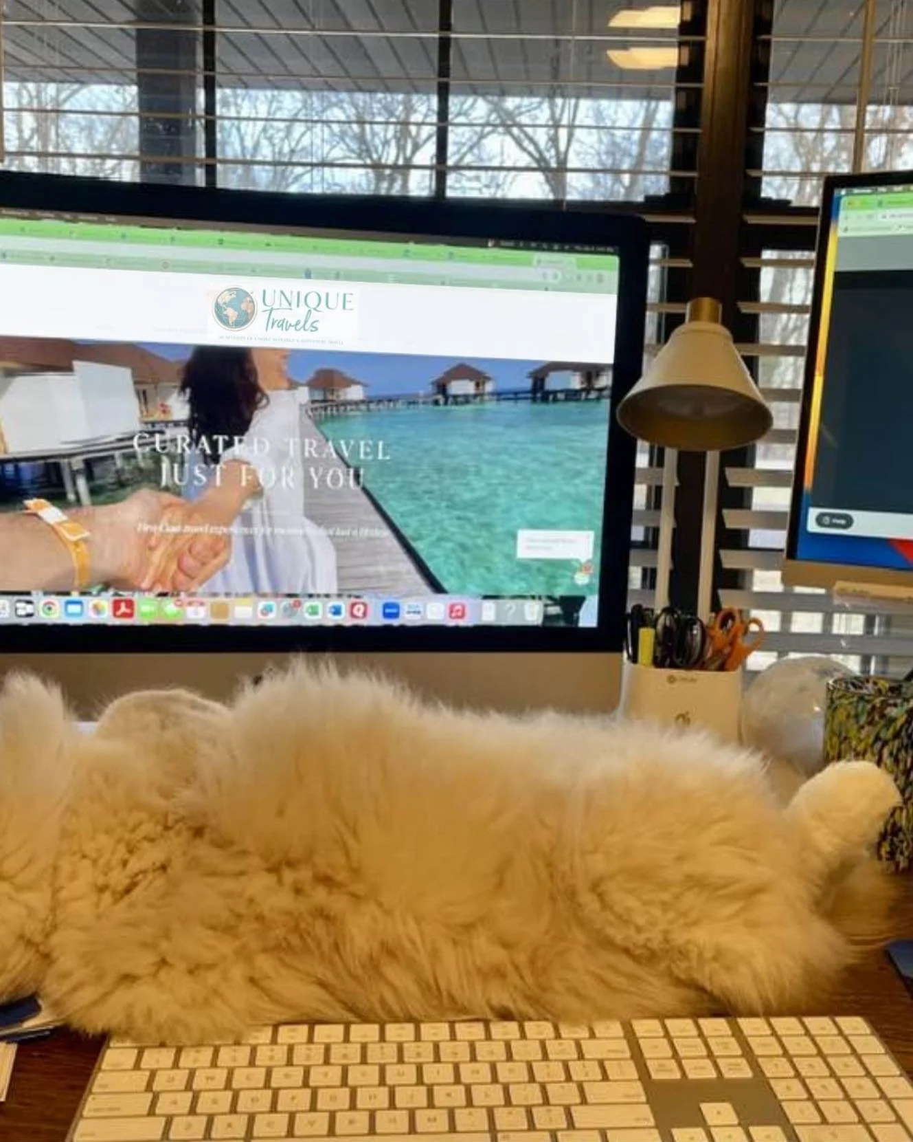 Curated escapes don&rsquo;t just happen-they&rsquo;re thoughtfully designed with love, logistics, expert planning, and a little help from my four-legged coworker. 💻✈️🐾

From supplier calls to dreamy destination research, every detail matters. Wheth