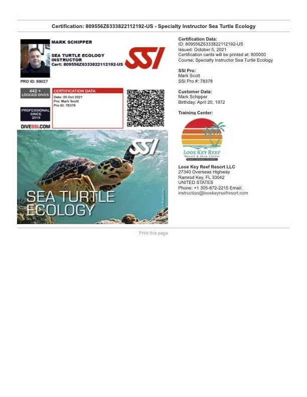 SEA TURTLE ECOLOGY.jpg