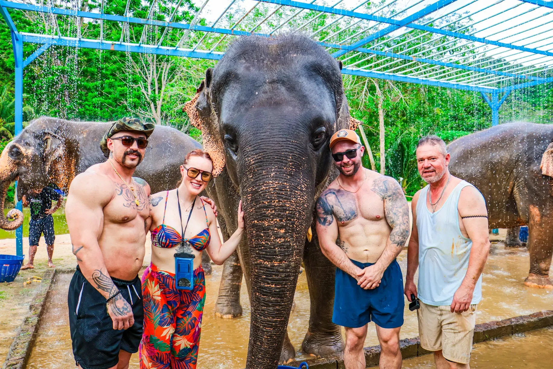 Thailand with Elephant.webp