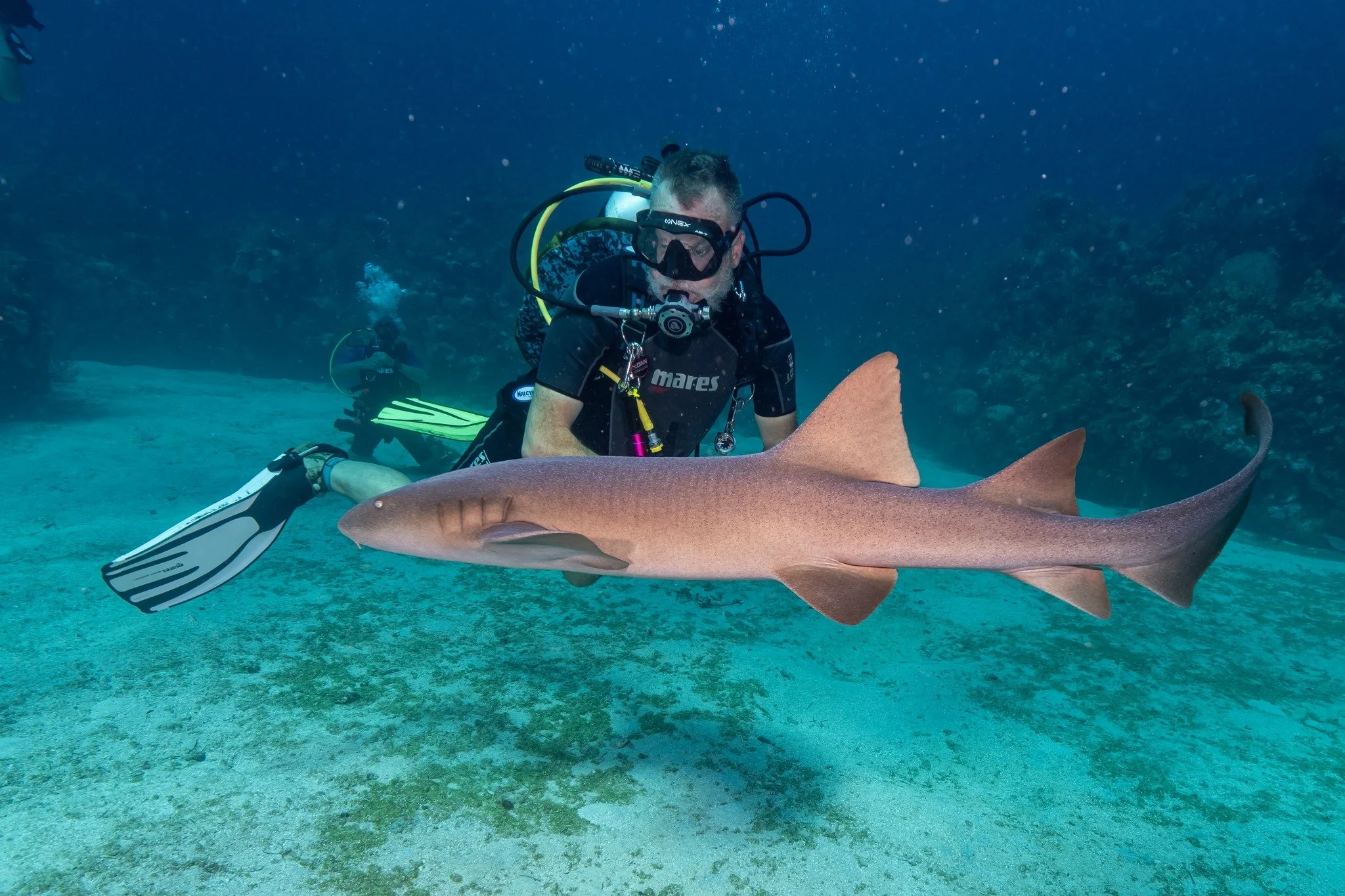 Mark Diving.jpg