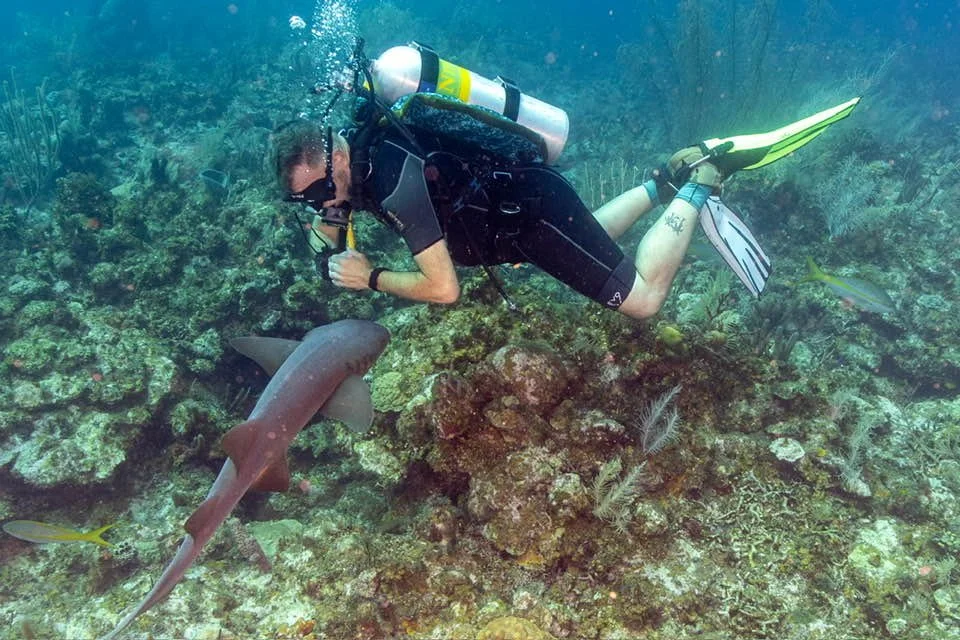 Mark Diving with sharks.jpg