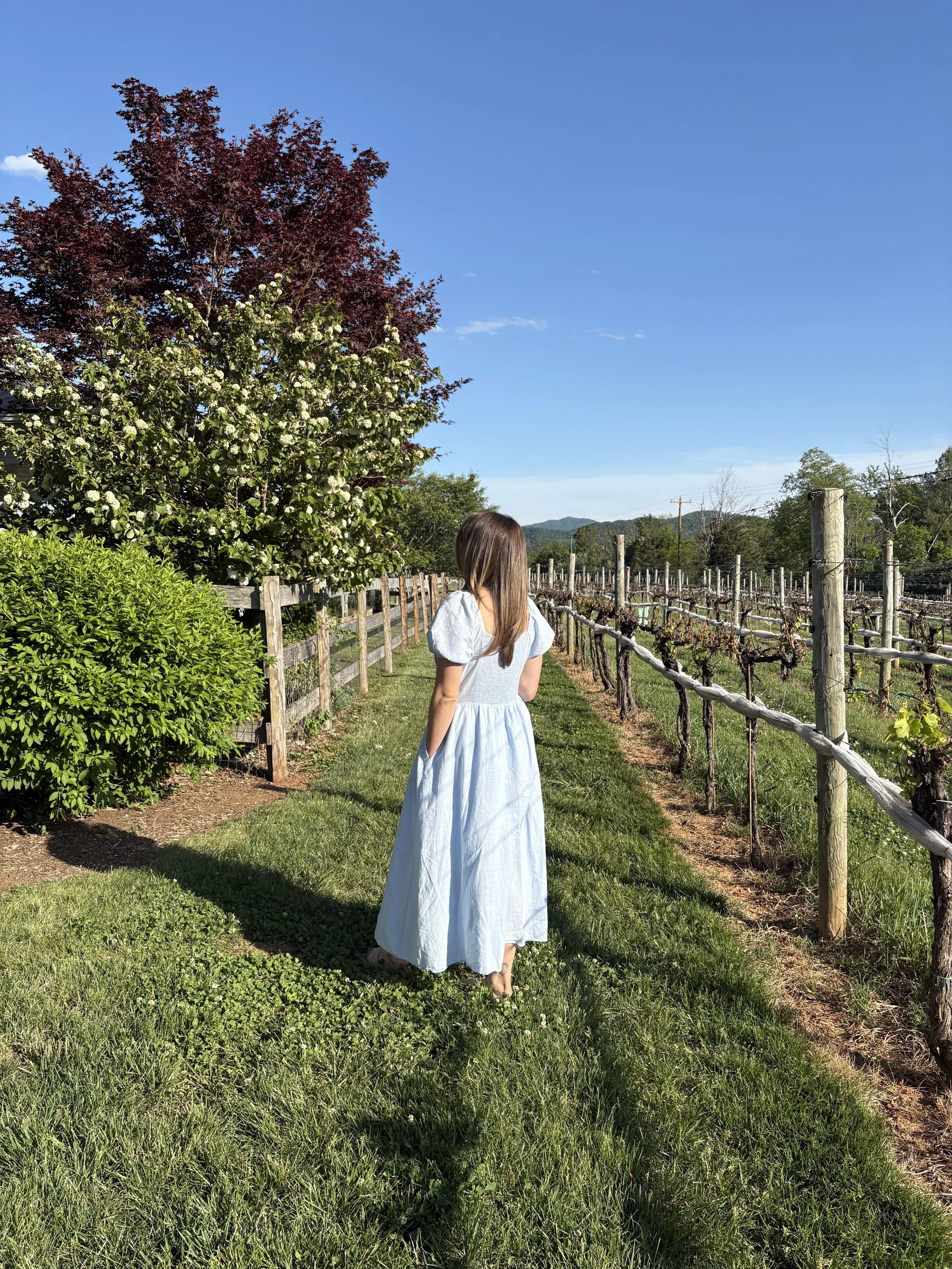 Alyssa in Vineyard.jpeg