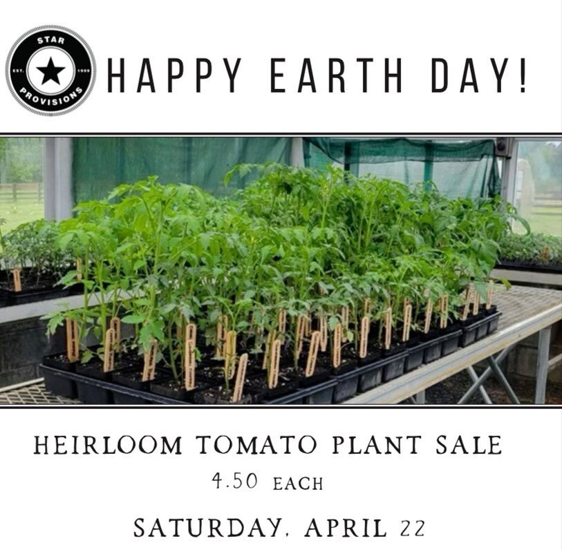 In celebration of #EarthDay tomorrow, we will be selling heirloom tomato plants 🍅 4.50 for each!