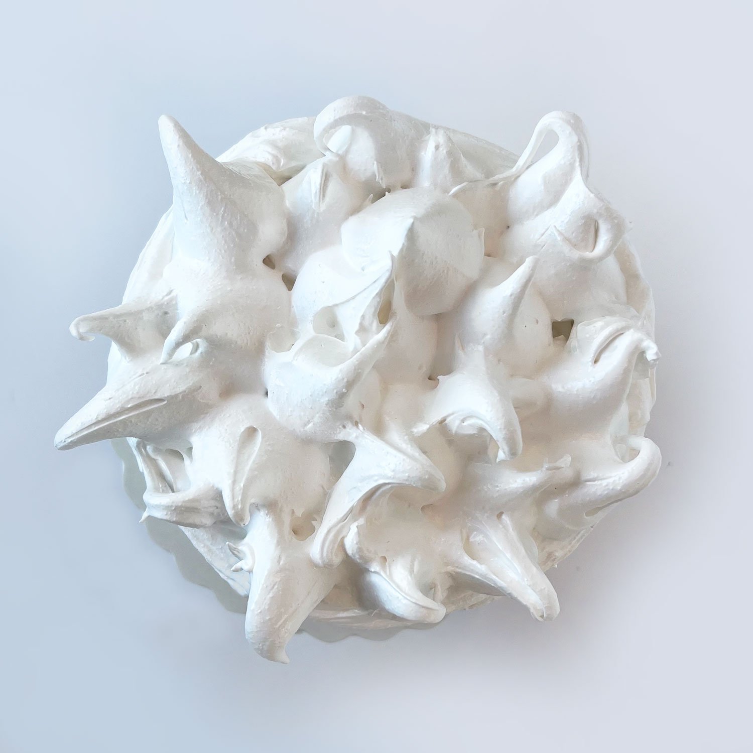 meringue_cake_top.jpg