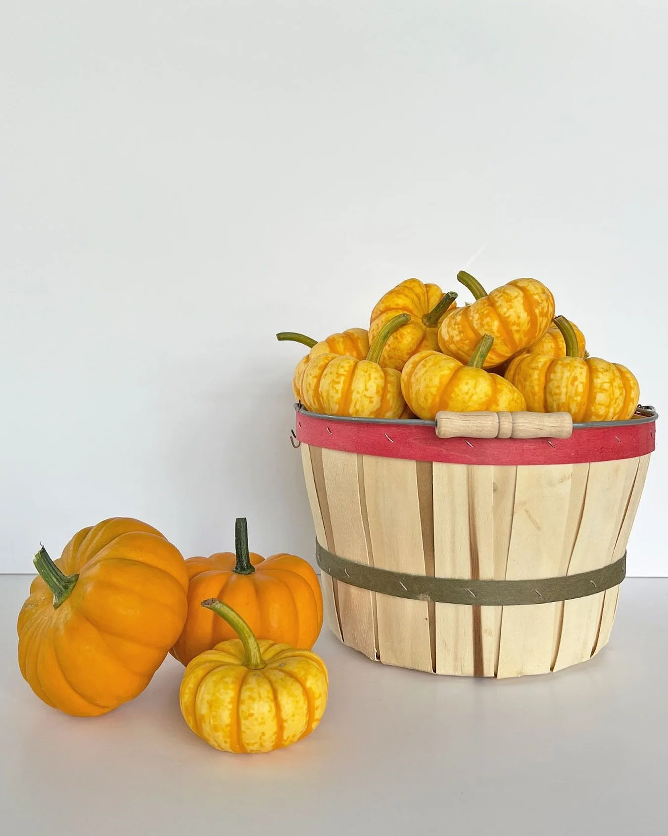 The arrival of fall has brought pumpkins from @summerlandfarms to the market!.. Check out our stories today to see some of the gorgeous colors!