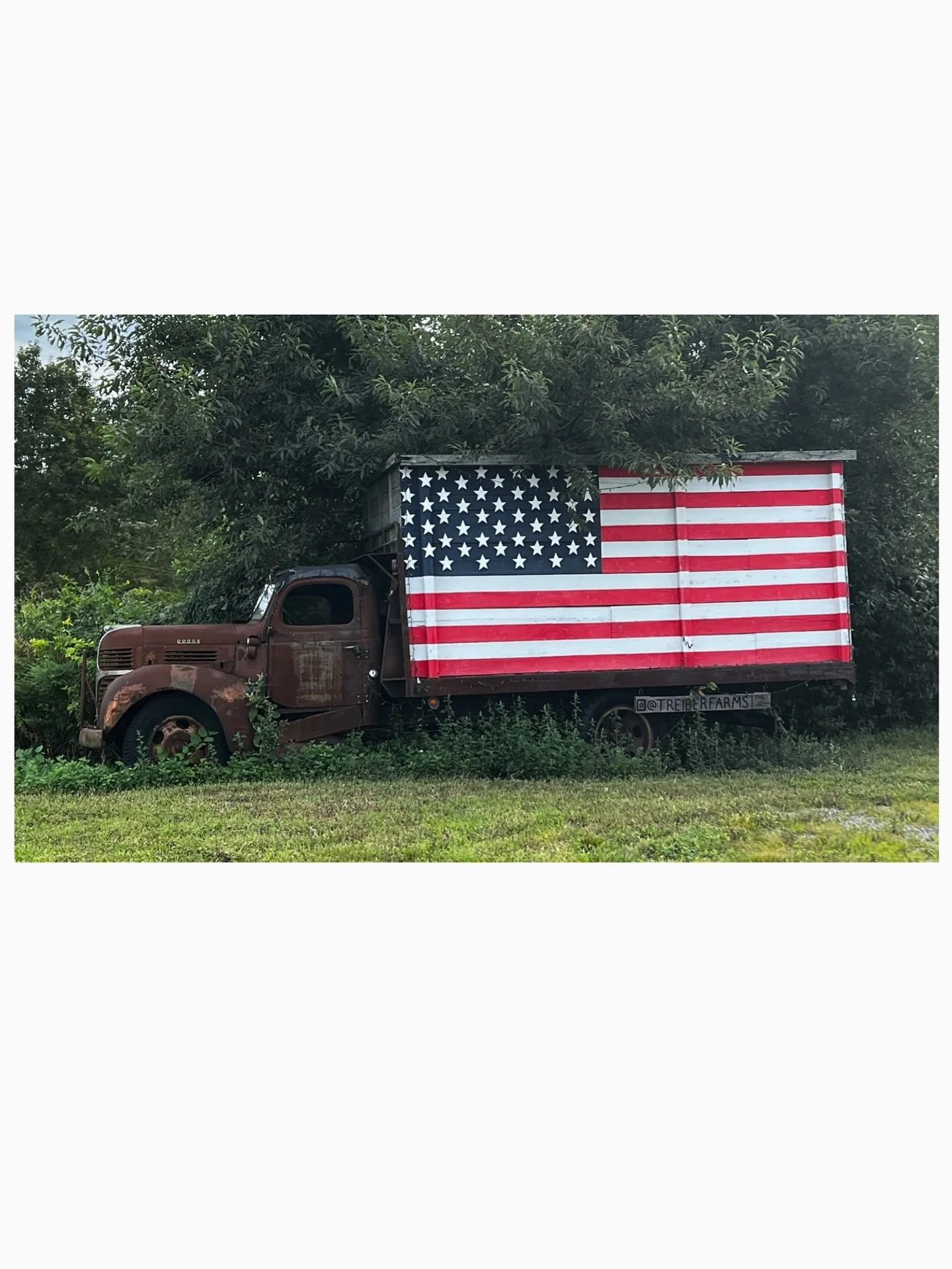 Thank you for your service to our country. 
Today and everyday we honor your courage and sacrifice. 

Photograph taken at @summerlandfarms