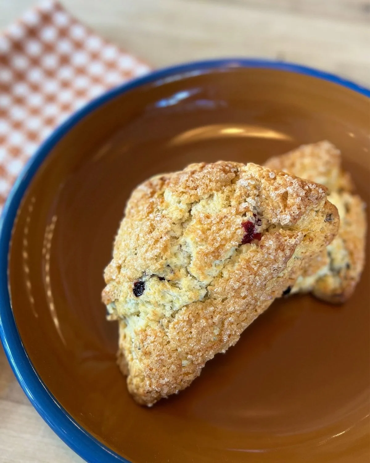 A perfect Sunday morning treat - a cranberry - orange scone from Star Provisions!
