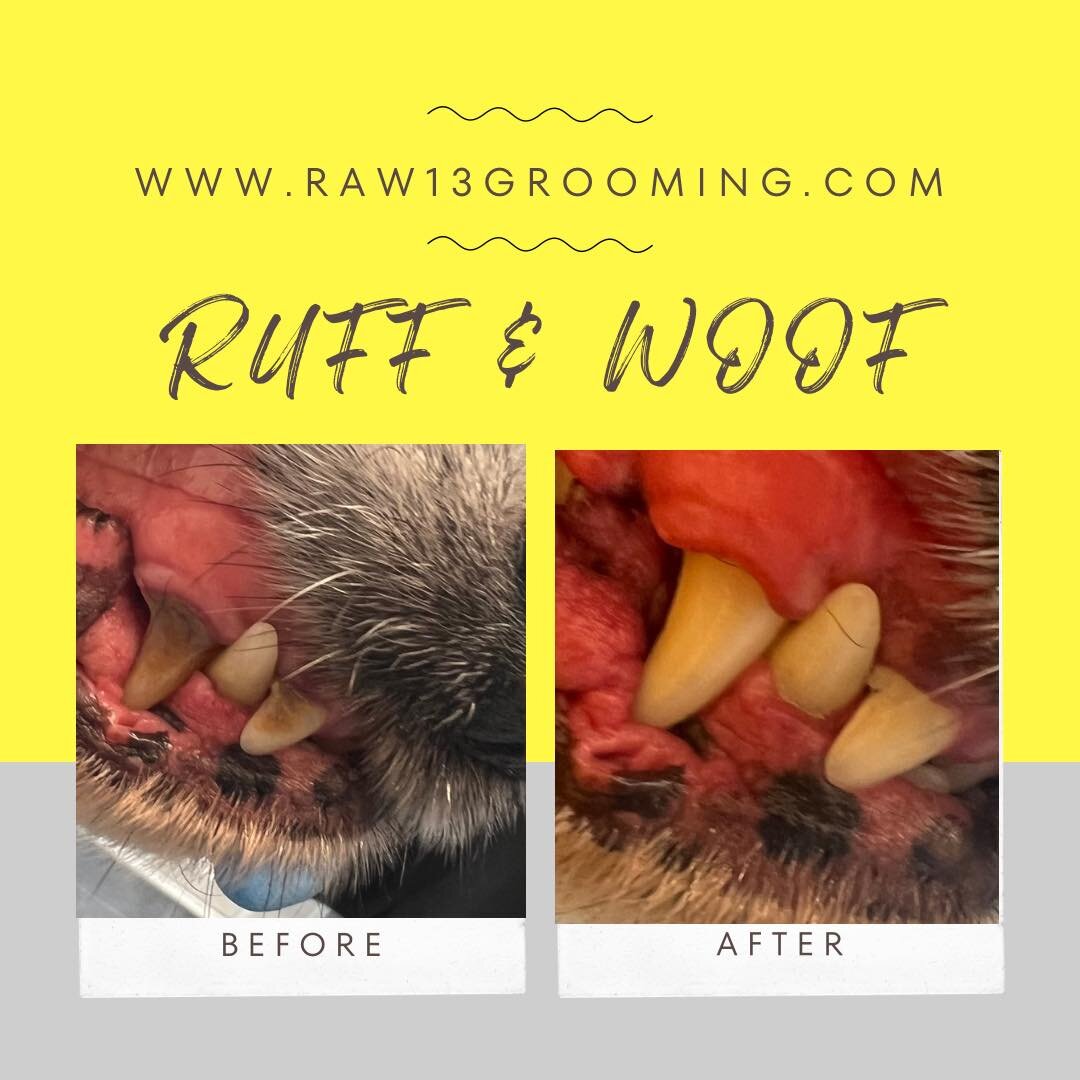 🦷.Saffy&rsquo;s Emmi-pet Teeth Cleaning Session.🦷

Saffy had Emmi-pet teeth cleaning session..if your looking for this kind of service for your loved one then please see information below.

Emmi-pet, with its unique and patented dental care system,