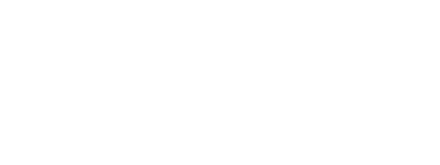 Emerick Consulting