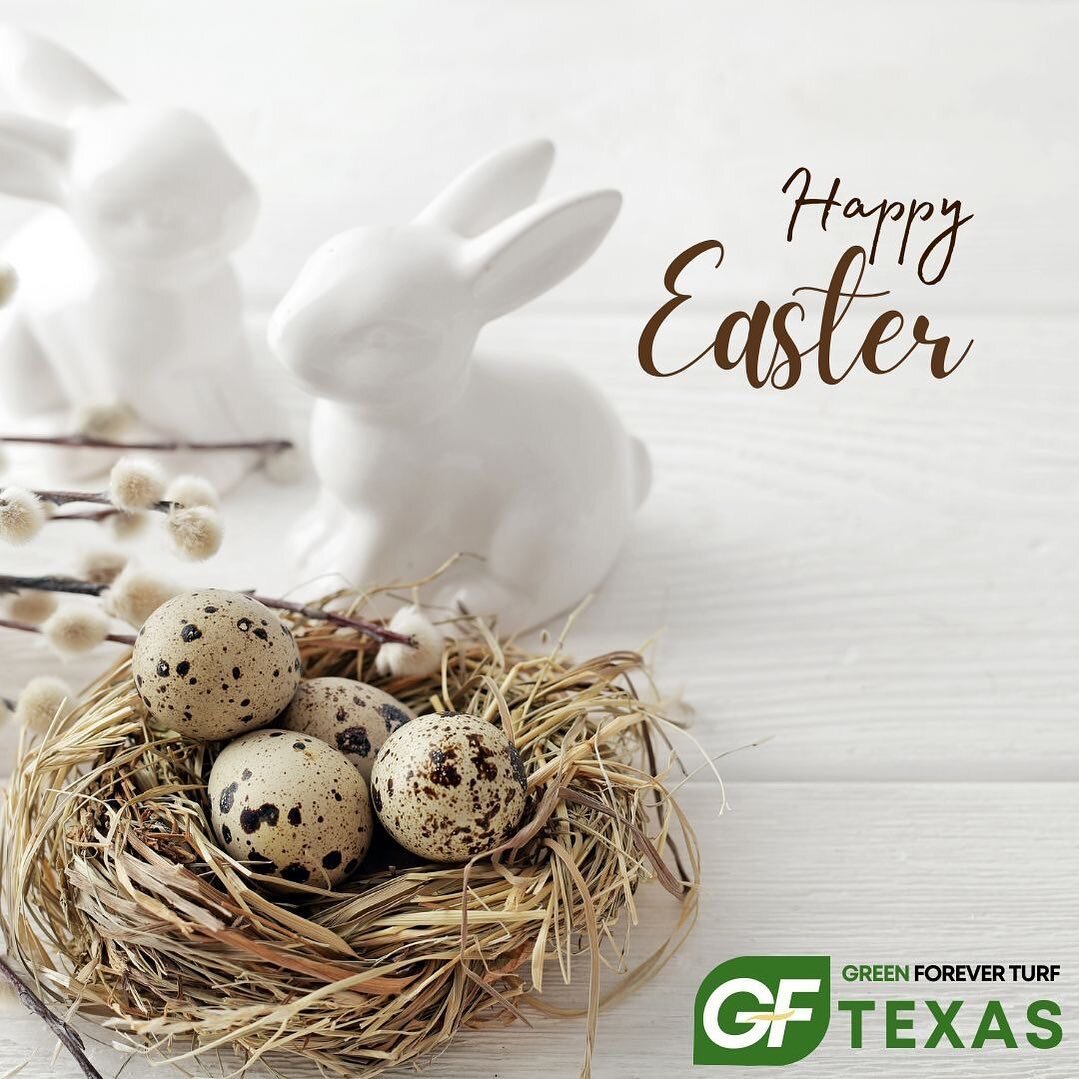 🪺Happy Easter Sunday!✨

✳️#GreenForeverTurfTX #DFWPutingGreens #artificialturf #puttinggreen #PuttingGreenInstallation #golfputtinggreen #dallasturfexpert #turf
