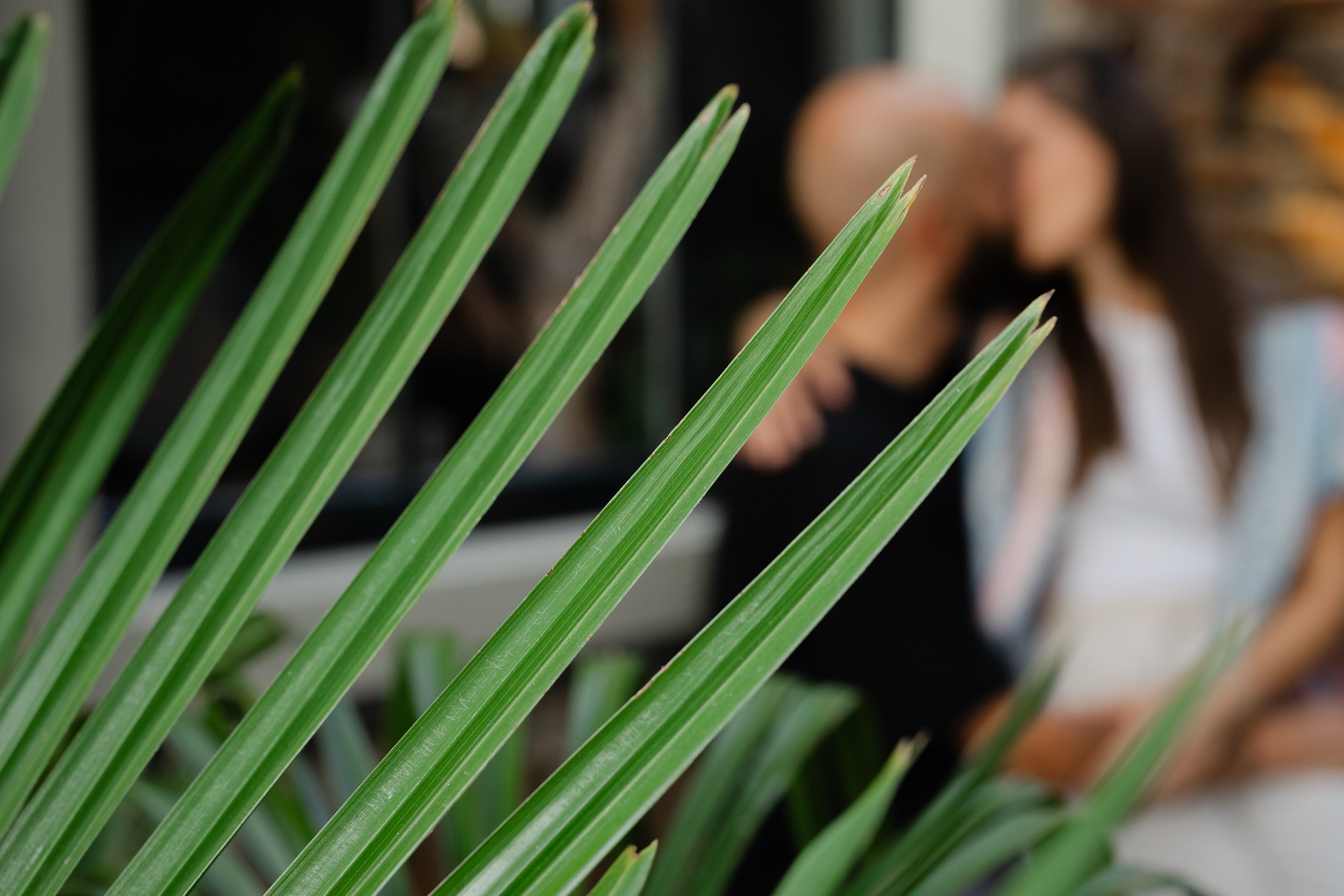 Verlovingsshoot (loveshoot) in centrum Nijmegen | fotowandeling met Yvonne &amp; Robin