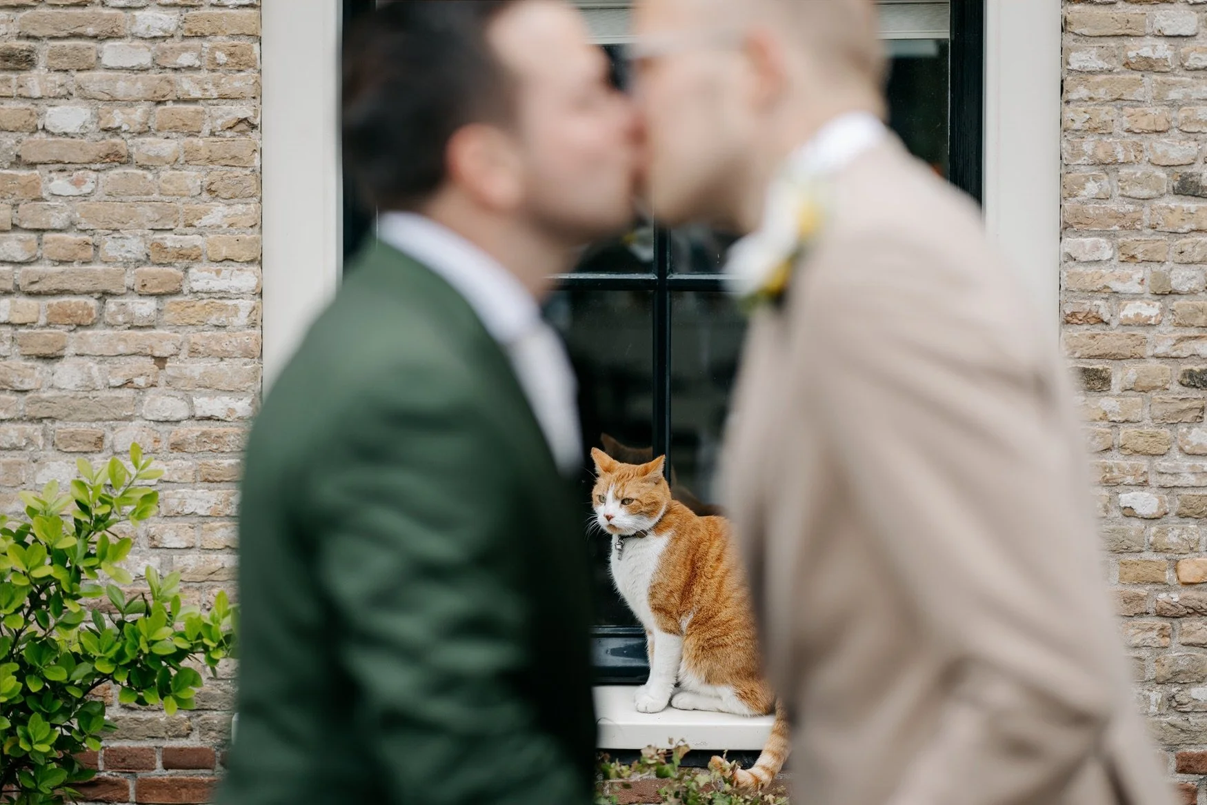  Bruidegoms delen een kus voor een pand, met een rode kat op de vensterbank 