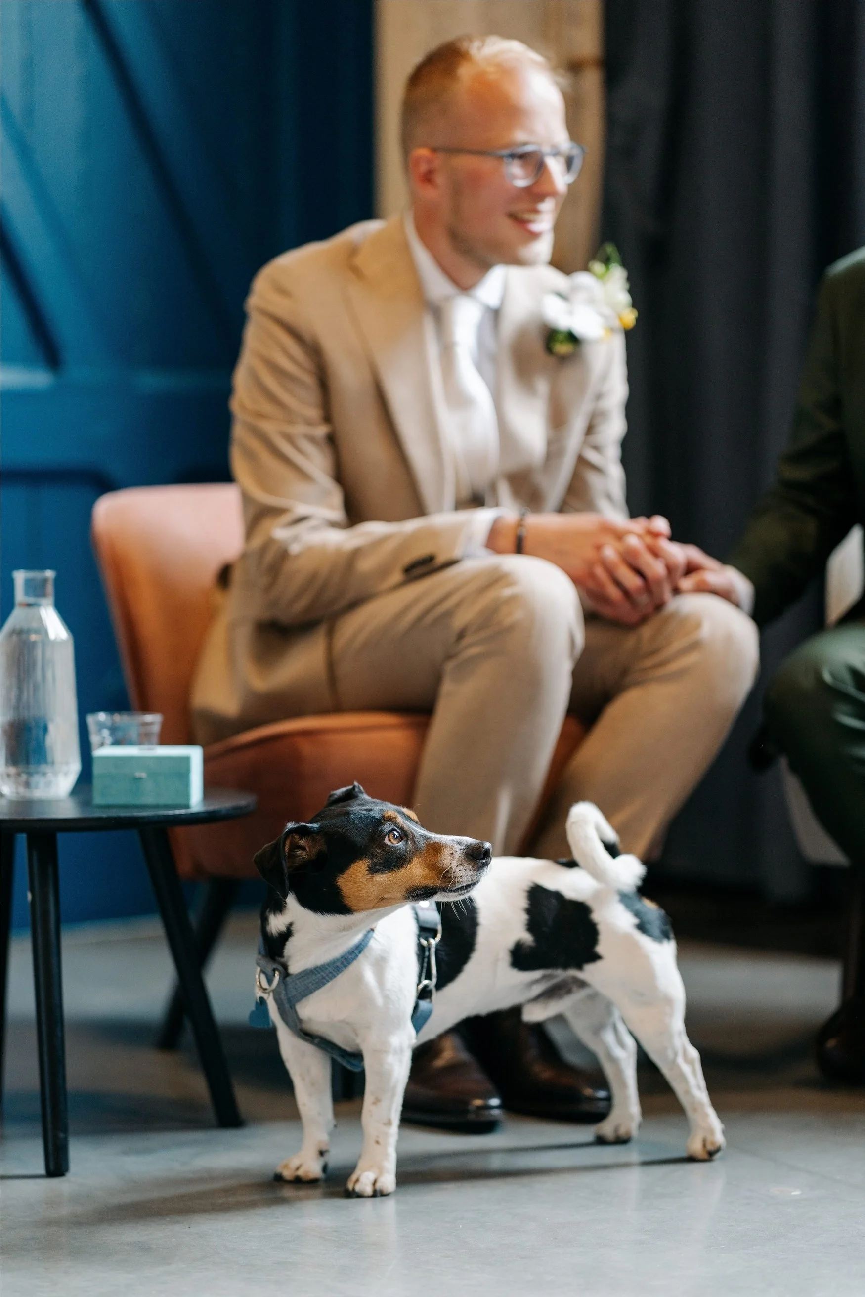  Bruidegom zit ontspannen in een fauteuil met een hondje aan zijn voeten 