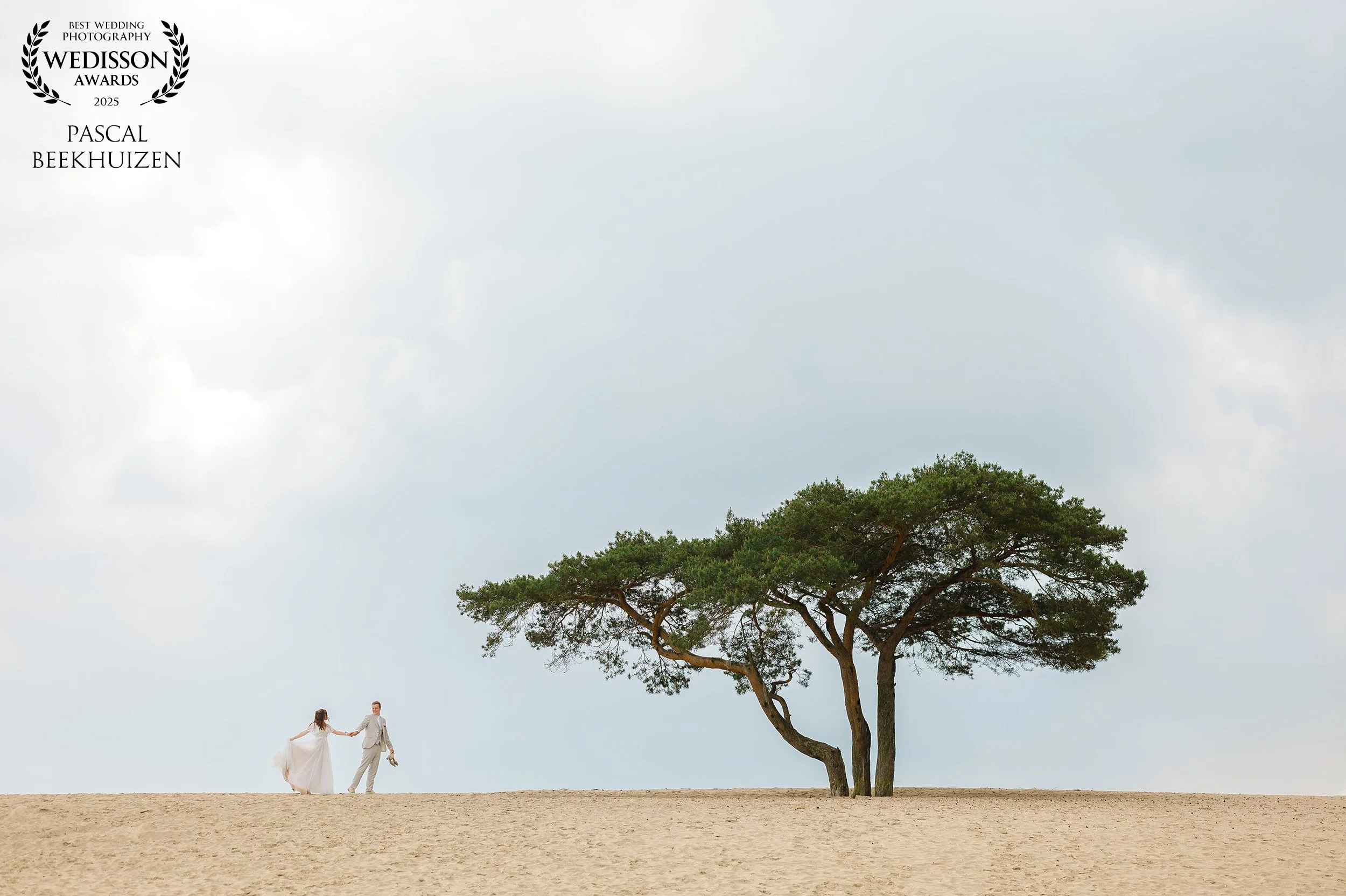Bruidspaar loopt hand in hand over zandvlakte met solitaire boom, minimalistische en award winnende trouwfoto door Pascal Maurice Fotografie