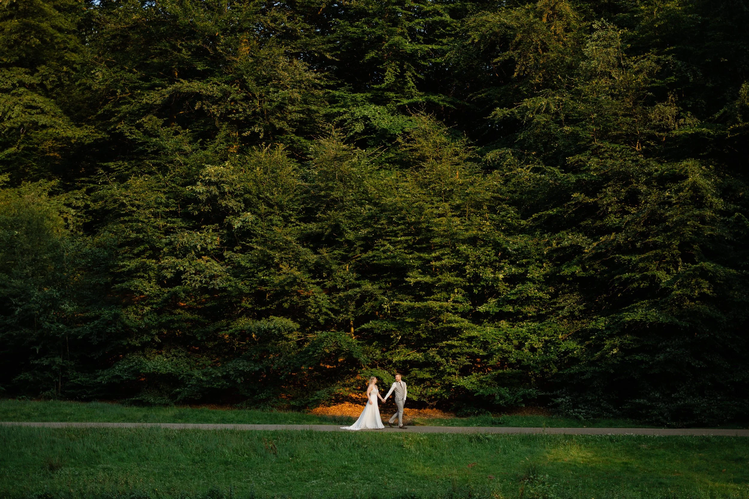 ruidspaar klein in beeld voor een groot boslandschap, stijlvolle trouwfoto met natuurlijke omgeving en veel rust