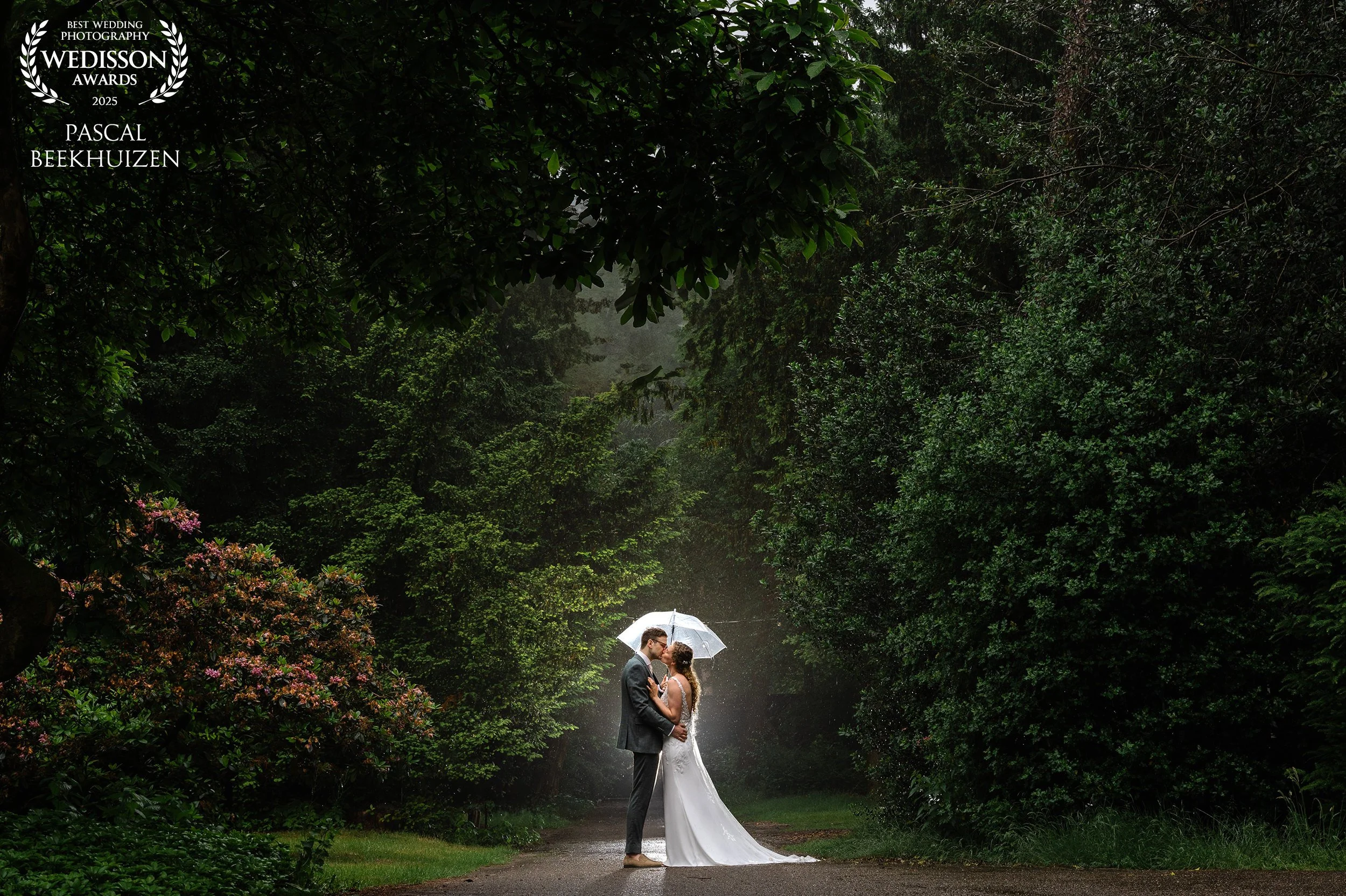 Bruidspaar onder paraplu op een boslaan omringd door groen, romantische en award winnende trouwfoto bij wedisson.  Tijdens de regenachtige fotoshoot bij Villa klein Heumen.