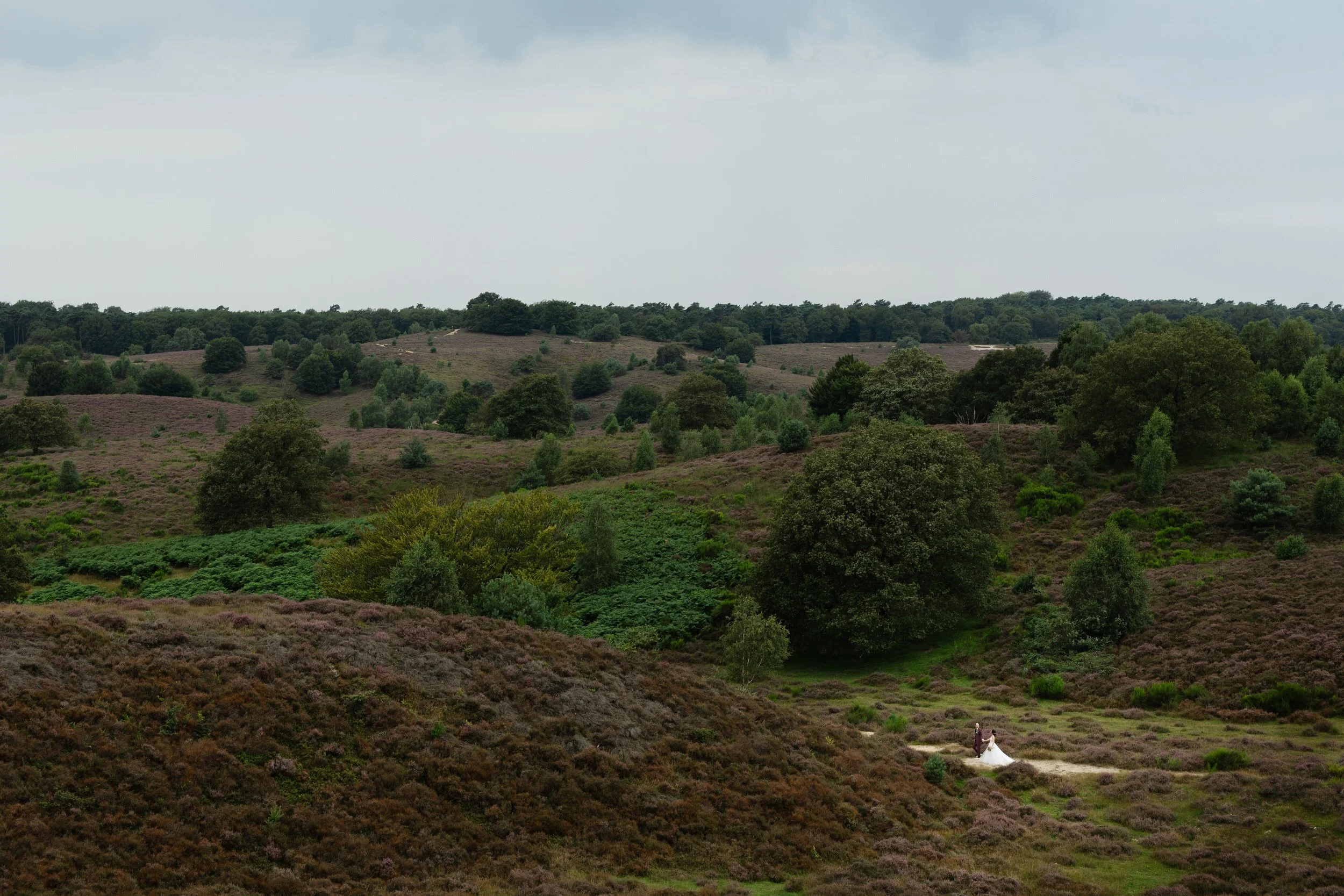 Bruidspaar klein in beeld op een uitgestrekt heidelandschap, trouwfoto met veel ruimte en natuurlijke omgeving