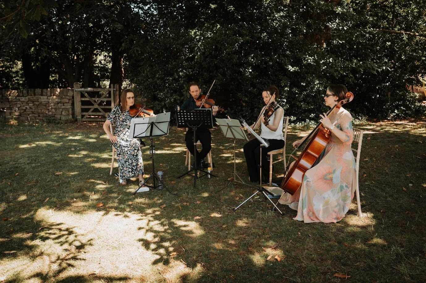 The Fern String Quartet - Four musicians playing string instruments outdoors in a shaded grassy area in Sheffield, with trees and a stone wall in the background.