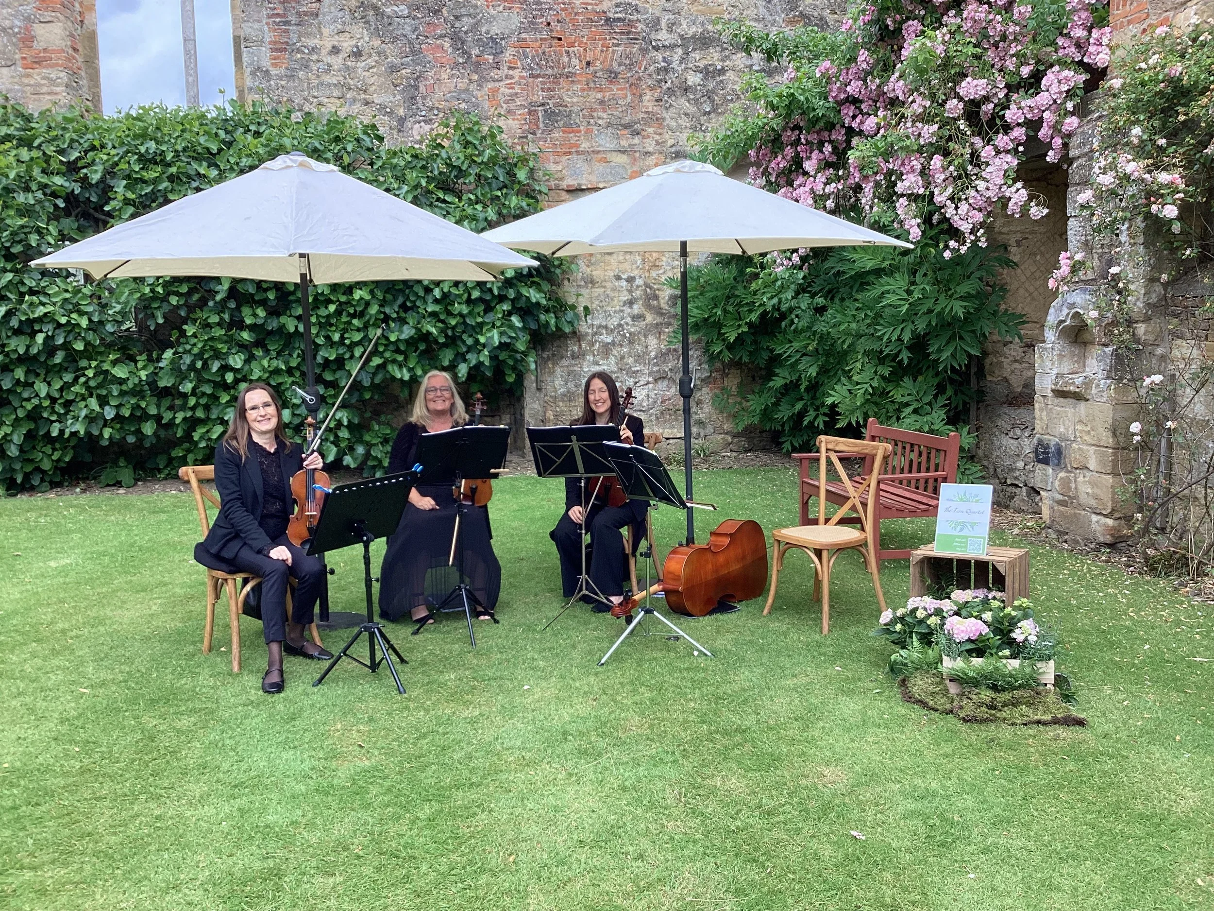 Three members of the string quartet sit under large white parasols, smiling at the camera, surrounded by greenery.