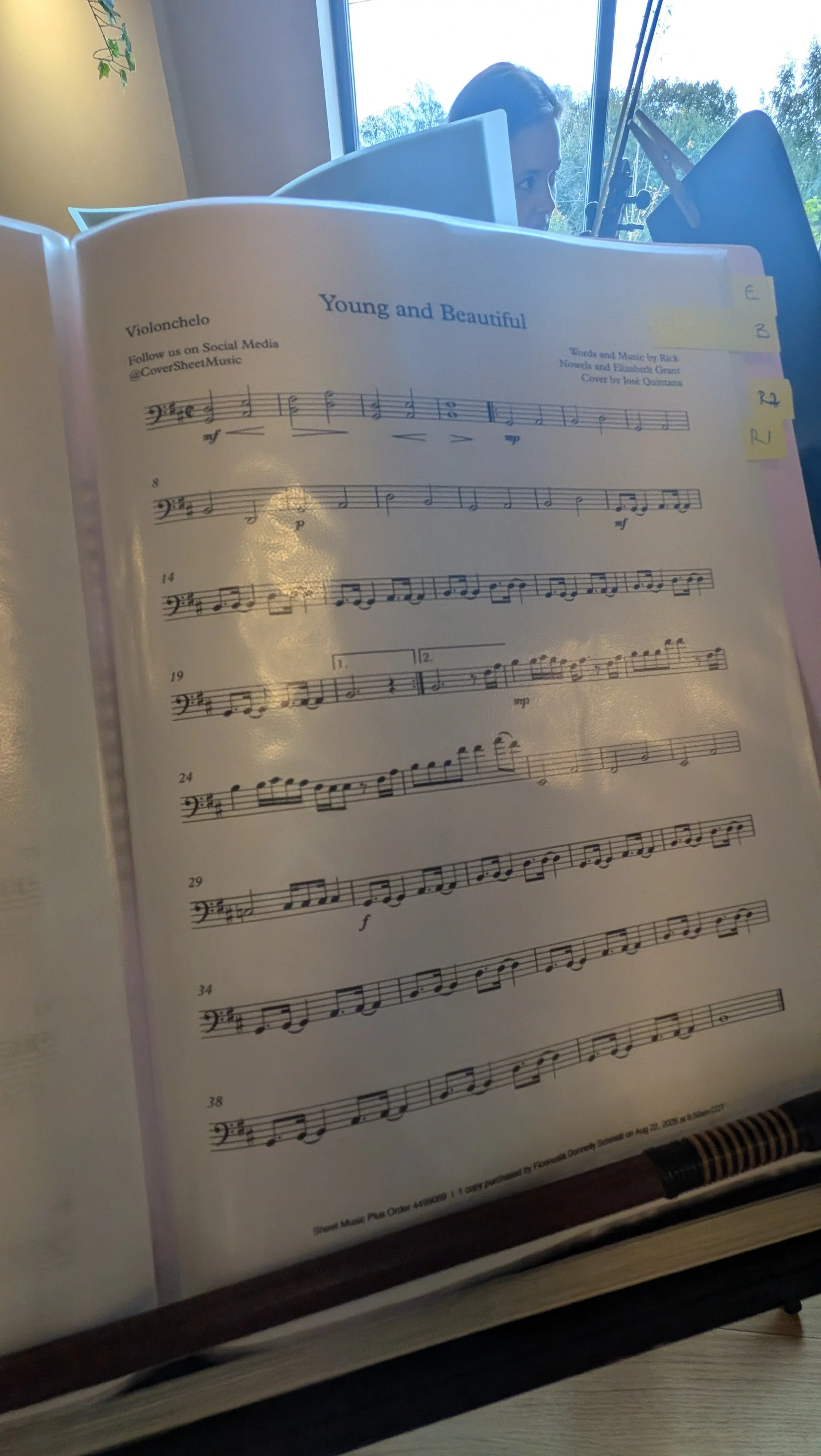 oung and Beautiful by Lana Del Rey arranged for live string wedding music