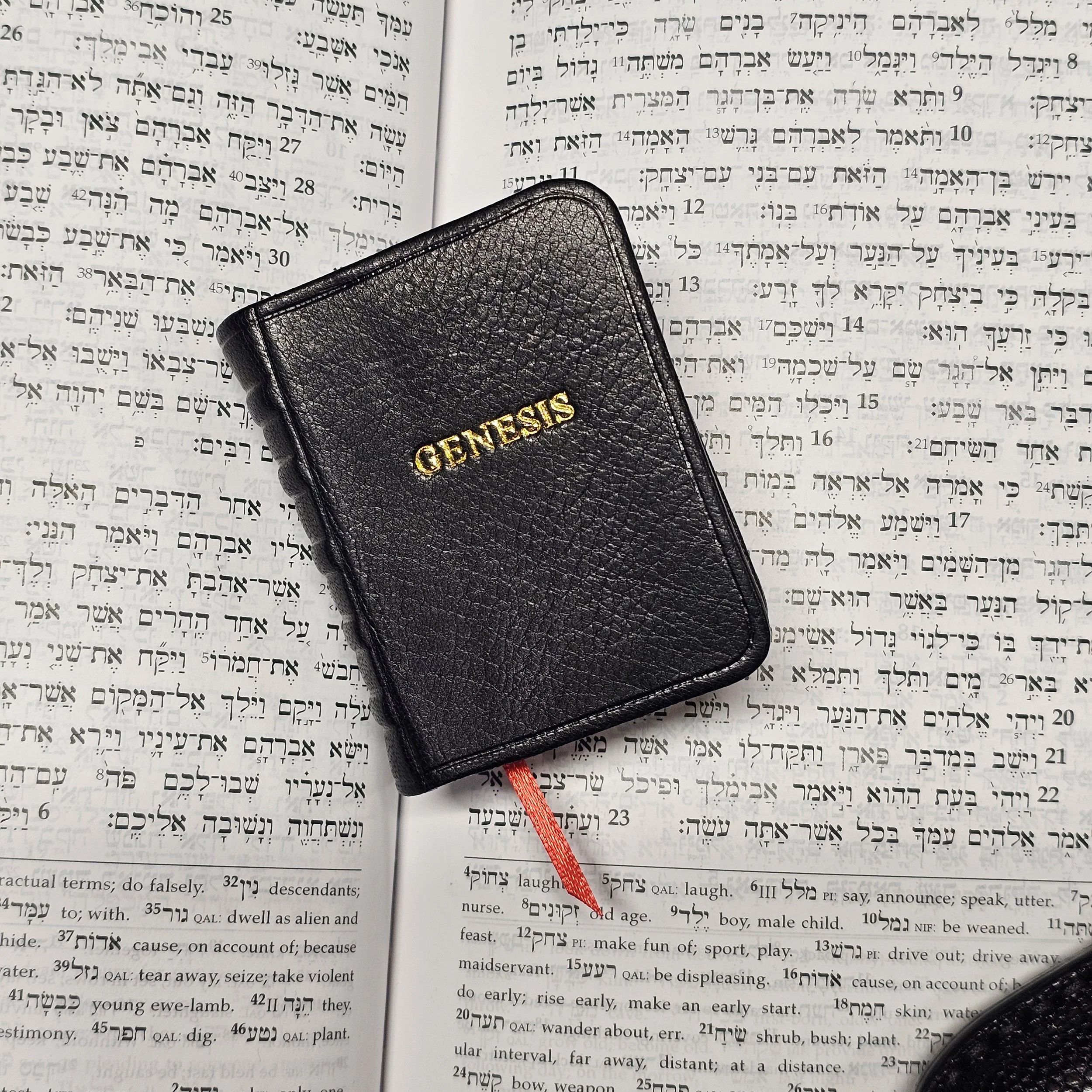 genesis_minibible_leather.jpg