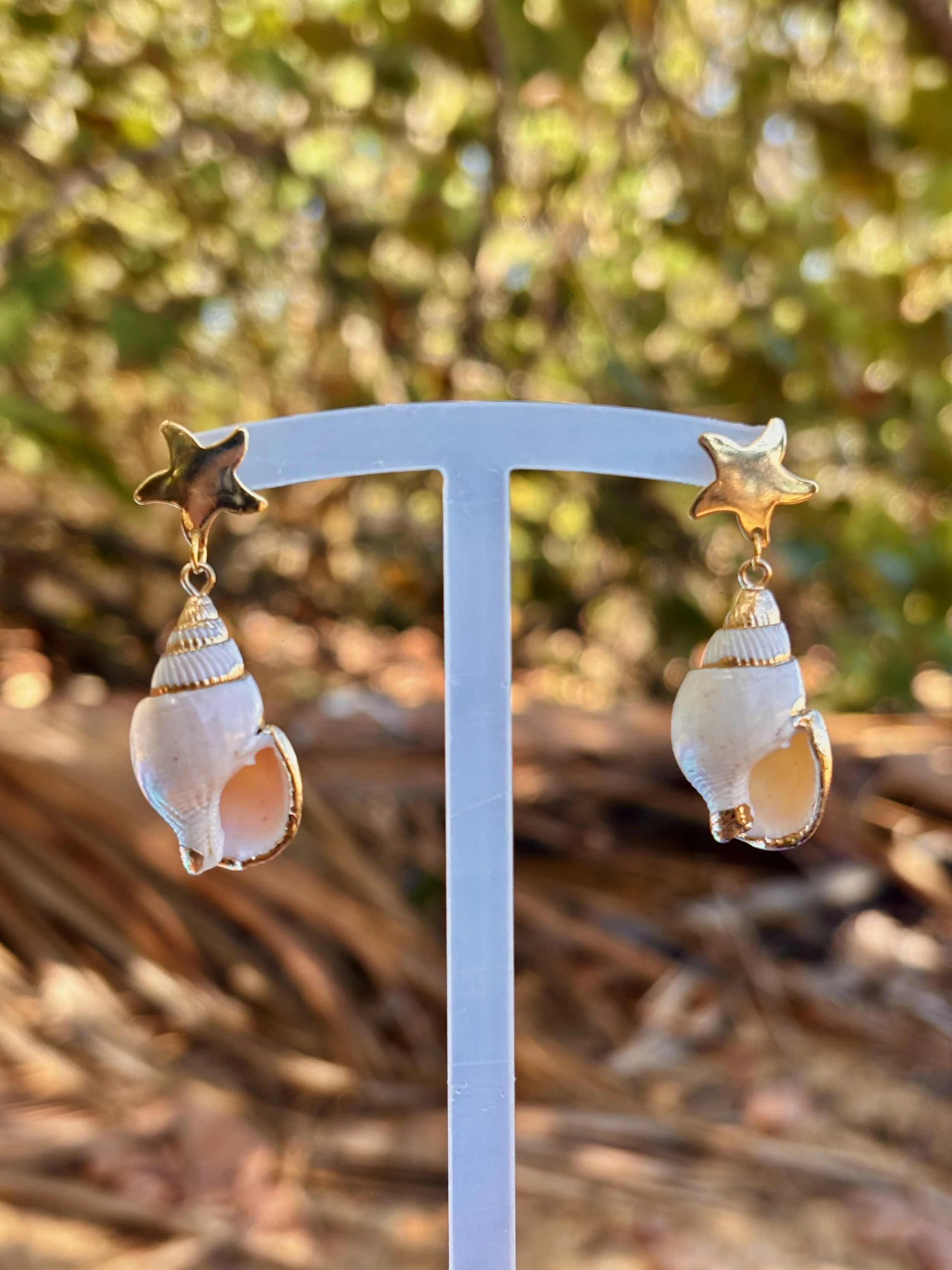 Shell