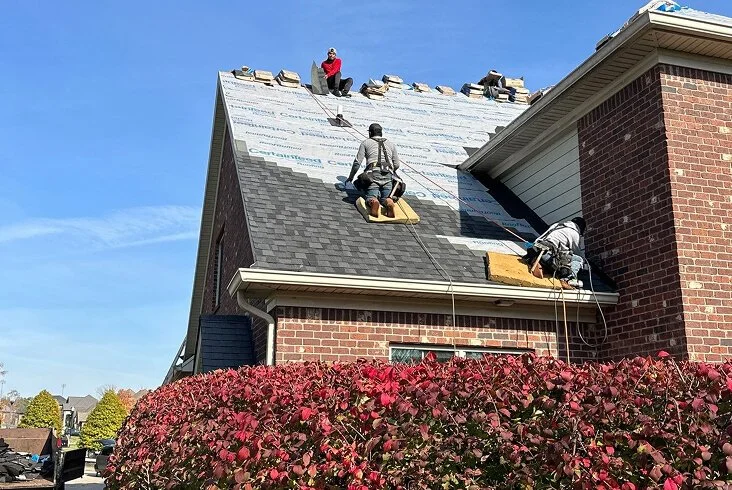 Roofing crew installing gray architectural shingles over synthetic underlayment on the steep slope of a brick home with red burning bush shrubs below