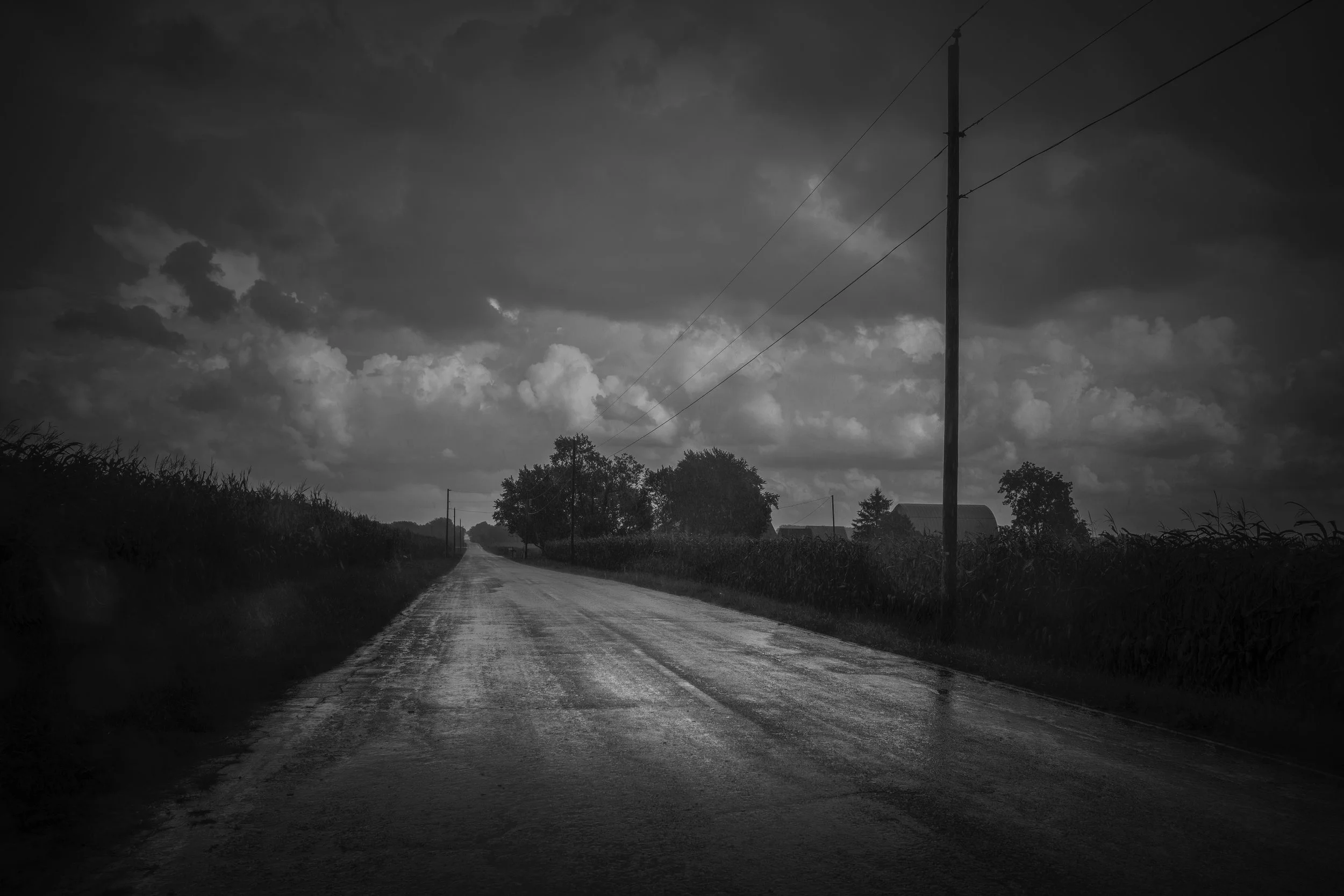 L1080212 copy.jpg