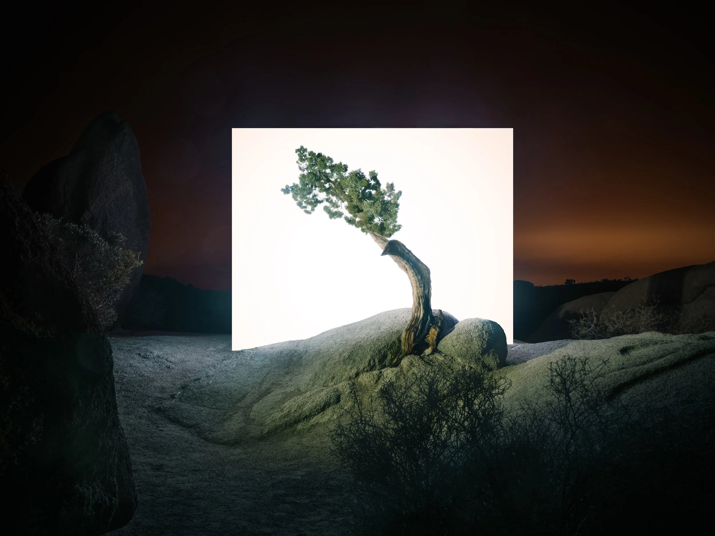 DSCF0655 warm final copy.jpg