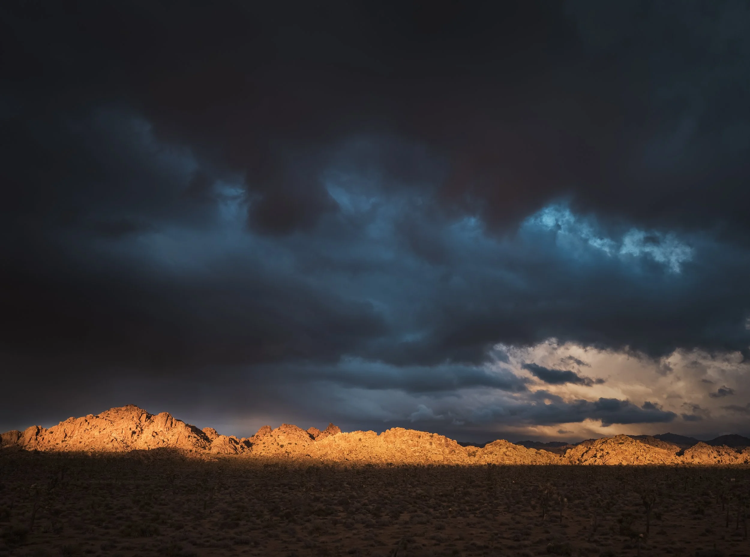 Joshua Tree